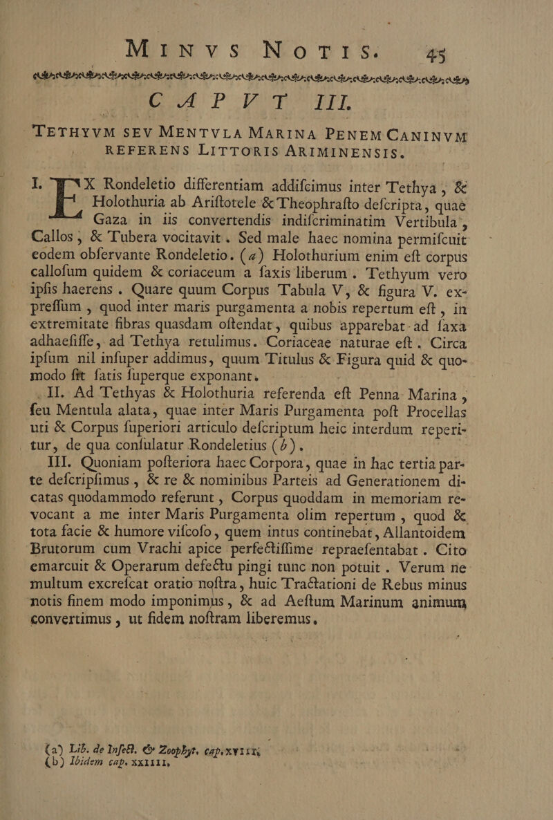 MiENYvVS NoTIS EU P Denogpr TETHYVM SEV MENTVLA MARINA PENEM CANINVM REFERENS LITTORIS ARIMINENSIS. | L W 3X Rondeletio differentiam addifcimus inter Tethya , &amp; E Holothuria ab Ariftotele &amp;'T'heophrafto defcripta, quae Gaza in iis convertendis indifcriminatim Vertibula , Callos ; &amp; 'Tubera vocitavit. Sed male haec nomina permifcuit eodem obfervante Rondeletio. (4) Holothurium enim eft corpus callofum quidem &amp; coriaceum a faxis liberum . Tethyum vero ipfis haerens . Quare quum Corpus Tabula V, &amp; figura V. ex- preffum , quod inter maris purgamenta a nobis repertum eft , in extremitate fibras quasdam oftendat, quibus apparebat-ad faxa adhaefiffe ,. ad 'ethya retulimus. Coriaceae naturae eft . Circa ipfum nil infuper addimus, quum Titulus &amp; Figura quid &amp; quo- modo fit. fatis fuperque exponant. | | .1Il. Ad Tethyas &amp; Holothuria referenda eft Penna. Marina , feu Mentula alata, quae inter Maris Purgamenta poft Procellas uti &amp; Corpus fuperiori articulo defcriptum heic interdum reperi- tur, de qua confulatur Rondeletius (7). IN III. Quoniam pofteriora haec Corpora, quae in hac tertia par- te defcripfimus , &amp; re &amp; nominibus Parteis ad Generationem di- catas quodammodo referunt , Corpus quoddam in memoriam re- vocant a me inter Maris Purgamenta olim repertum , quod &amp; tota facie &amp; humore vifcofo , quem intus continebat , Allantoidem Brutorum cum Vrachi apice perfectiffime repraefentabat . Cito emarcuit &amp; Operarum defectu pingi tunc non potuit . Verum ne multum excrefcat oratio noftra , huic ''ractationi de Rebus minus notis finem modo imponimus , &amp; ad Aeftum Marinum animum convertimus , ut fidem noftram liberemus, (2) Lib. de Infe&amp;. €» Zo b ^. cg OXYIIN , (b) Ibidem cap. dU TP AN i