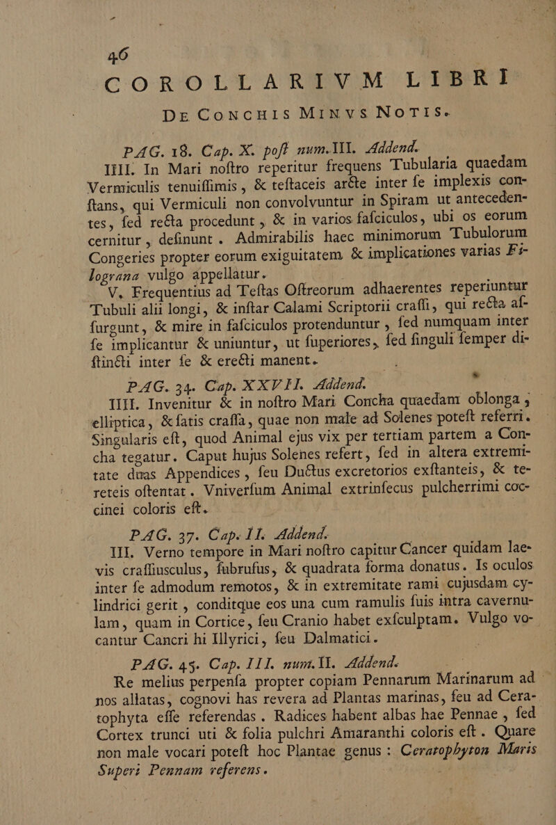 CORSO LL A REVUM LIBRI DE CoNcuris MiNvs NoTisSs. PAG. 18. Cap. X. pof? num.1lI. Addend. IHI. In Mari noftro reperitur frequens Tubularia quaedam Vermiculis tenuiffimis, &amp; teffaceis aréte inter fe implexis com- ftans, qui Vermiculi non convolvuntur in Spiram ut anteceden- tes, fed recta procedunt , &amp; in varios fafciculos, ubi os eorum cernitur, definunt . Admirabilis haec minimorum Tubulorum Congeries propter eorum exiguitatem. &amp; implicationes varias F1- lograna vulgo appellatur. m | —. V, Frequentius ad T'eftas Offreorum adhaerentes reperiuntur Tubuli alii longi, &amp; inftar Calami Scriptorii craffi, qui recta af- furgunt, &amp; mire in fafciculos protenduntur , fed numquam inter fe implicantur &amp; uniuntur, ut fuperiores , fed finguli femper di- ftin&amp;i inter fe &amp; erecti manent. : PAG. 34. Cap. XXV H.. Addend. f IHI. Invenitur &amp; in noftro Mari Concha quaedam oblonga ; - elliptica, &amp;fatis craffa, quae non male ad Solenes poteft referri. Singularis eft, quod Animal ejus vix per tertiam partem a Con- cha tegatur. Caput hujus Solenes refert, fed in altera extrenri- tate duas Appendices , feu Ductus excretorios exftanteis, &amp; te- reteis oftentat. Vniverfum Animal extrinfecus pulcherrimi coc- cinei coloris eft. | PAG. 37. Cap. HH. Addend. III. Verno tempore in Mari noftro capitur Cancer quidam lae- - vis craffiusculus, fübrufus, &amp; quadrata forma donatus. Is oculos inter fe admodum remotos, &amp; in extremitate rami cujusdam cy- lindrici gerit , conditque eos una cum ramulis fuis intra cavernu- lam, quam in Cortice, feu Cranio habet exfculptam. Vulgo vo- cantur Cancri hi Illyrici, feu Dalmatia. PAG. 43. Cap. IH. mum.ll. Addend. Re melius perpenfa propter copiam Pennarum Marinarum ad - nos allatas, cognovi has revera ad Plantas marinas, feu ad Cera-. tophyta effe referendas . Radices habent albas hae Pennae , fed Cortex trunci uti &amp; folia pulchri Amaranthi coloris eft. Qnare non male vocari poteft hoc Plantae genus : Ceratophyton. Maris Superi Pennam vefereus. | |