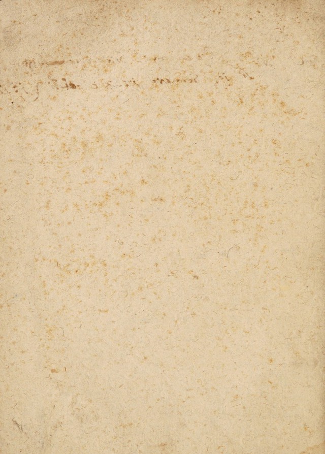 digitised image 2