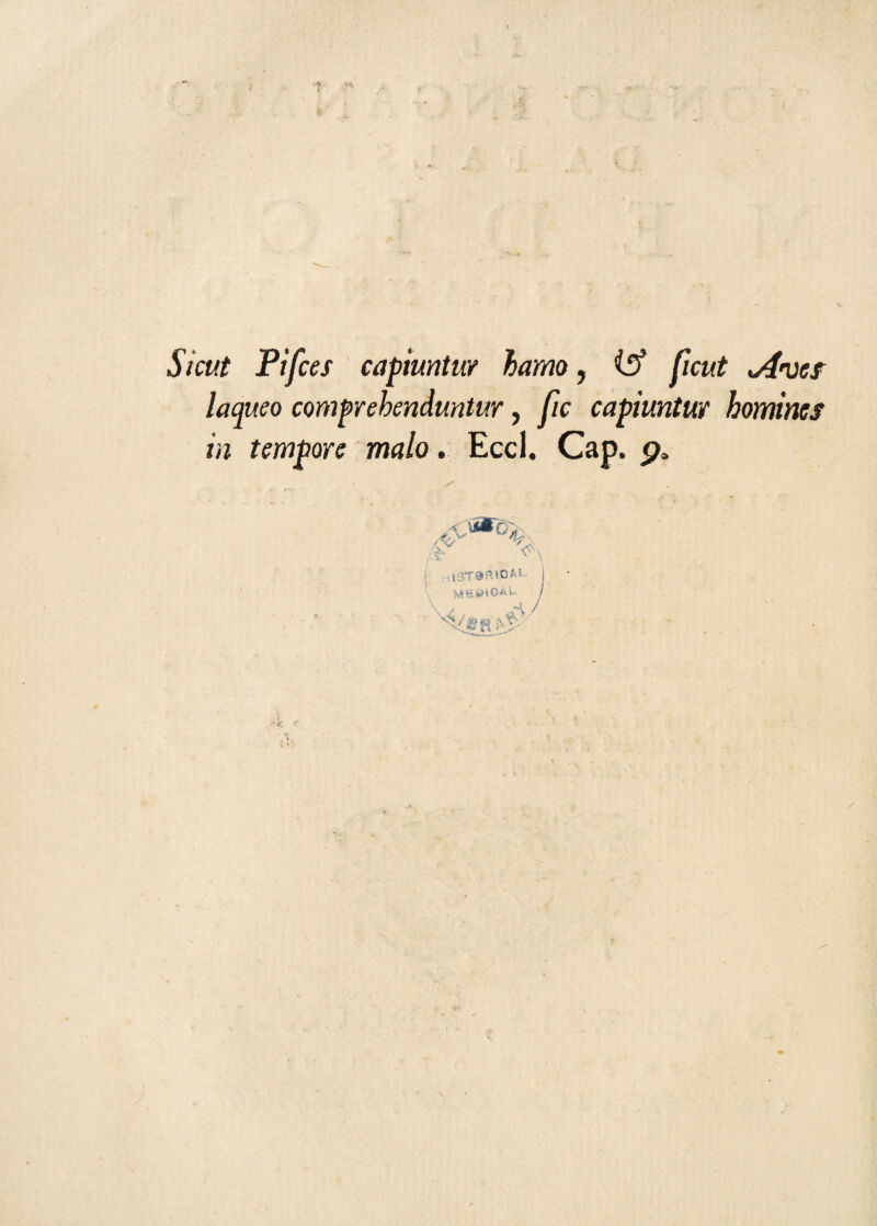 Sì cut Pifces capiuntuv hamo, iff ficut jìmcs laqueo comprehenduntur, fic capiuntuv homines in tempore malo. Eccl. Cap. p» #- Ay V aro. V' i O A U