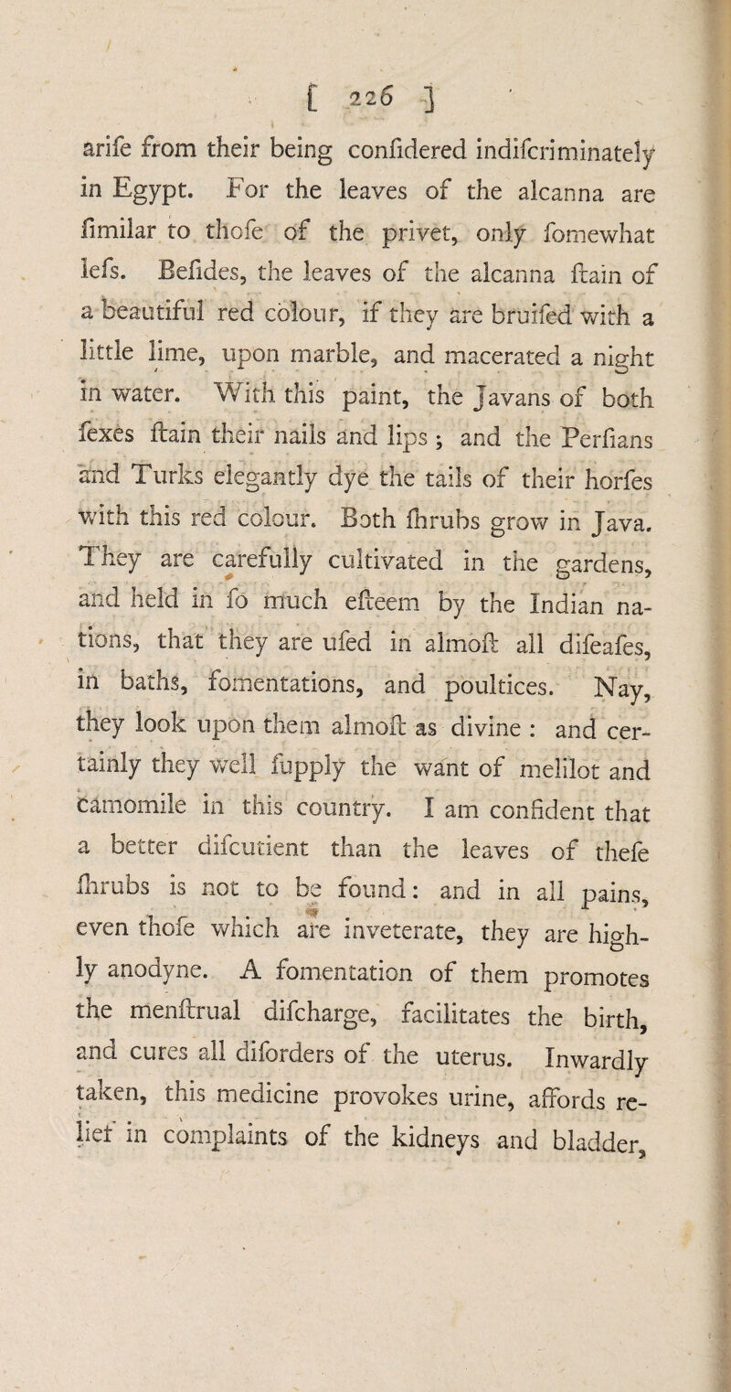 arife from their being confidered indifcriminately in Egypt. For the leaves of the alcanna are Jimiiar to thofe of the privet, only fomewhat lefs. Befides, the leaves of the alcanna ftain of a beautiful red colour, if they are bruifed with a little lime, upon marble, and macerated a night in water. With this paint, the Javans of both fexes ftain their nails and lips ; and the Perfians and Turks elegantly dye the tails of their horfes with this red colour. Both ftsrubs grow in java. They are carefully cultivated in the gardens, and held in fo much efteem by the Indian na¬ tions, that they are ufed in almoft all difeafes, in baths, fomentations, and poultices. Nay, they look upon them almoft as divine : and cer¬ tainly they well fupply the want of meliiot and camomile in this country. I am confident that a better difcutient than the leaves of thefe ftrubs is not to be found: and in all pains, even thofe which are inveterate, they are high¬ ly anodyne. A fomentation of them promotes the menftrual difcharge, facilitates the birth, and cures all diforders of the uterus. Inwardly taken, this medicine provokes urine, affords re- liet in complaints of the kidneys and bladder.