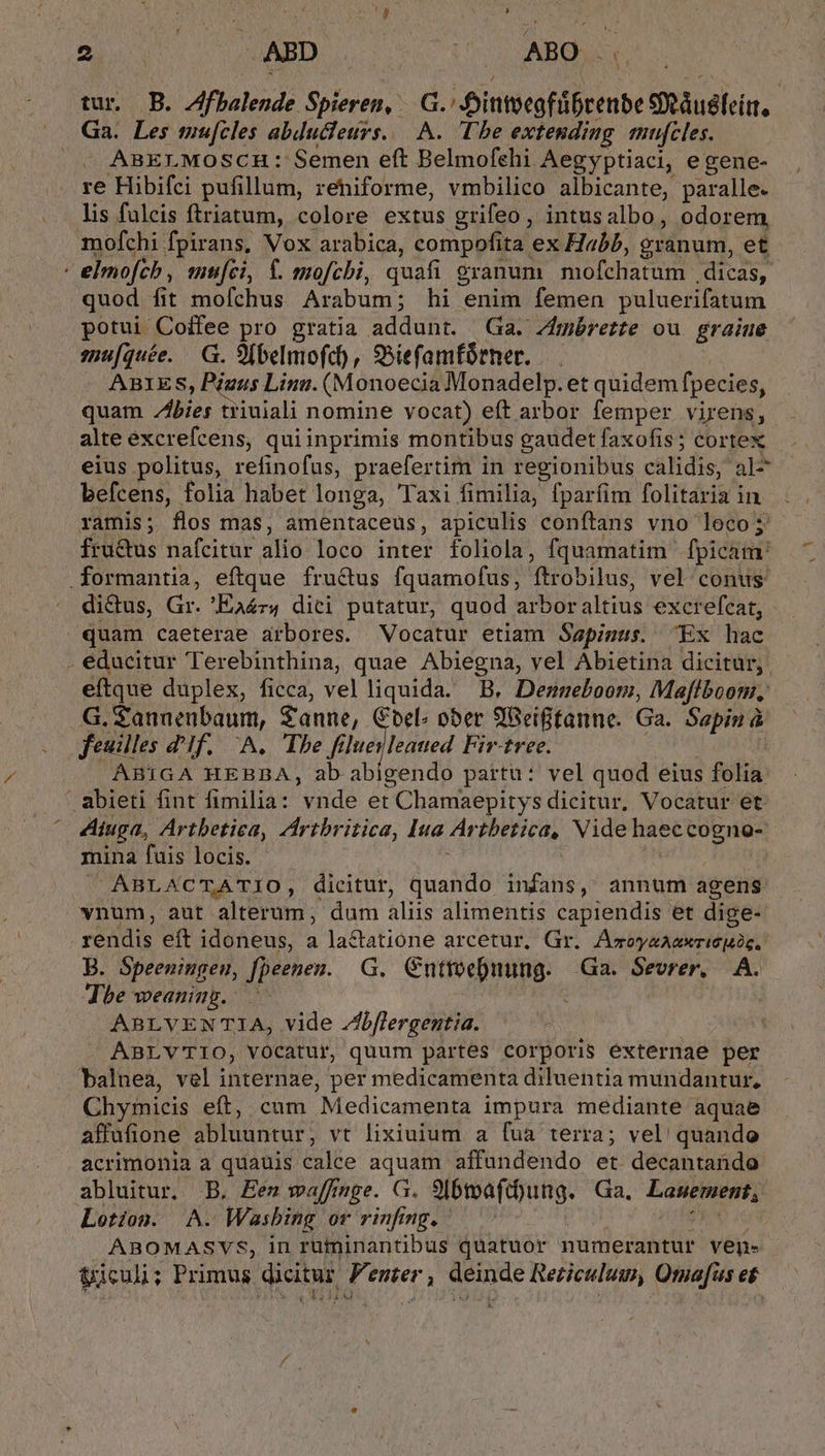 NS ABD |: ABO - tur, B. Afbalende. Spieren, G antciestlb etn edndis: |. Ga. Les mu[cles abducleurs. — A. Tbe extending mufcles. |. ABELMOSCH: Semen eft Belmofehi Aegyptiaci, egene- re Hibifci pufillum, rehiforme, vmbilico albicante, paralle. lis fuleis ftriatum, colore extus grifeo, intusalbo, odorem, mofchi fpirans, Vox arabica, compofita ex Habb, gránum, et - elmofcb , mtifci, f. mofcbi, quafi granum mofchatum . dicas, quod fit mofchus Arabum; hi enim femen puluerifatum potui Coffee pro gratia addunt. (Ga. Zmbrette ou graine eu[quée. G. 9 belmofd), SSiefamfórner. .. ABIES, Piuus Lina. (Monoecia Monadelp. et quidem fpecies, quam bes triuiali nomine vocat) eft arbor femper virens, alte excrefcens, quiinprimis montibus gaudet faxofis; cortex eius politus, refinofus, praefertim in regionibus calidis, al^ befcens, folia habet longa, Taxi fimilia, fparfim folitaria in ramis; flos mas, amentaceus, apiculis conftans vno loco; fru&amp;tus nafcitur alio loco inter foliola, fquamatim- fpicam: .formantia, eftque fru&amp;us fquamofus, ftrobilus, vel conus dictus, Gr. Eaér4 dici putatur, quod arbor altius. excrefcat, quam caeterae arbores. Vocatur etiam Sapinus. Ex hac . educitur Terebinthina, quae Abiegna, vel Abietina dicitur, eítque duplex, ficca, velliquida. B, Dezneboom, Mafflboonz, G.Zannenbaum, Sanne, Cbel: ober 9'Beigtanne. Ga. Sapin à feuilles dIf,. A. Tbe filueuleated Fir-tree. ABIGA HEBDBA, ab abigendo partu: vel quod eius folia abiti fint fimilia: vnde et | Chamaepitys dicitur, Vocatur et Aiuga, Artbetiea, Artbritica, Iua Ártbetica, Vide haec eogrten mina fuis locis. ABLACTATIO, dicitur, dvaMió infans, annum agens vnum, aut alterum; dum aliis alimentis capiendis et dige- / renis eft idoneus, a la&amp;atione arcetur, Gr. Aszeyaaexricuie, B. Speeningeu, fpeenes. G. Cntrmoe)nung. Ga. Sevrer, A. Jbe weanimg. . TIR ! ABLVENTIA, vide Zbflergentia. ABLYTIO, VOCatur, quum partes corporis externae per balnea, vel internae, per medicamenta diluentia mundantur, Chymicis eft, cum Medicamenta impura mediante aquae affufione abluuntur; vt lixiuium a fua terra; vel quando acrimonia a quauis calcee aquam affundendo et. decantando abluitur, B, Ee» waffmge. G. SIbtoafcbung. Ga, MNT Lotion. A. Wasbing or rinfing. ABOMASYS, in ruminantibus quatuor numerantur ven. ticuli; Primus dicitur  enter , ig Rericulum, Omafis e