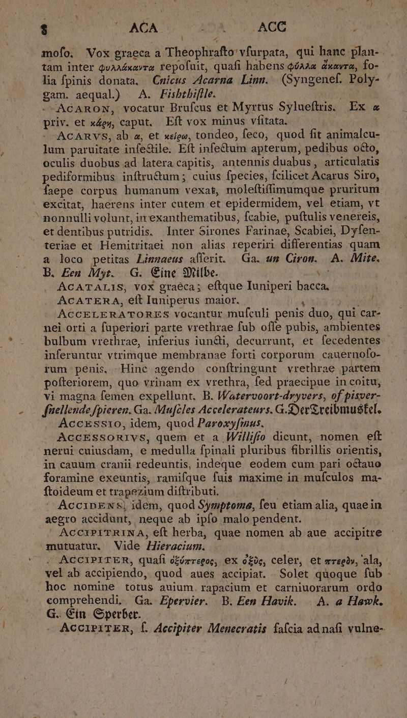— Ld $ ' ACA. C ADA . ACC mofo. Vox graeca a hio slsafirc e Banpal qui hanc plan-. . tam inter Qvaa£xavra repofuit, quafi habens QíAaz Zxevra, fo- lia fpinis donata. Cuicus zdcarna Limm. (Syngenef. Poly- gam, aequal) JA. Fisbtbi[lie. | gu et din) caput. Eft vox minus vfitata. ACARVS, ab a, et xeíeo, tondeo, feco, quod fit animalcu- lum paruitate infe&ile. Eft infectum apterum, pedibus octo, oculis duobus ad latera. capitis, antennis duabus, artlere pediformibus inftru&um ; cuius fpecies, fcilicet Acarus Siro, faepe corpus humanum vexat, moleftiffimumque pruritum - excitat, haerens inter cutem et epidermidem, vel etiam, vt nonnulli volunt, in exanthematibus, fcabie, puftulis venereis, et dentibus putridis. Inter Sirones Farinae, Scabiei, Dyfen- teriae et Hemitritaei non alias reperin differentias quam a loco petitas Limzaeus afferit. — Ga. wm Cirom. A. Mite. B. Een Myt..G. ine Syilbe. ' ACATALIS, VOX graeca; eftque Finipen Mog ACATERA, eft Iuniperus maior. - is ACCELERATORES vocantur mufculi penis ub: qui car- nei orti a fuperiori parte vrethrae fub offe pubis, ambientes bulbum vrethrae, inferius iunQdi, decurrunt, et fecedentes.- inferuntur vtrimque membranae forti corporum . cauernofo- | rum penis. Hinc agendo conftringunt vrethrae partem. poíteriorem, quo vrinam ex vrethra, fed praecipue in coitu, vi magna femen expellunt. B. Wazervoort-dryvers, of pisver- füuellende fpieven. Ga. Mufcles Accelerateurs. G.3)er& veibmustel. AccEss1o, idem, quod Paroxy[mus. AccEssoRIvs, quem. et a .I«Willifio dicunt, nomen eft nerui cuiusdam, e medulla fpinali pluribus fibrillis orientis, in cauum cranii redeuntis, indeque eodem cum pari octauo foramine exeuntis, ramifque fuis maxime in mufculos ma- ftoideum et trapezium diftributi. AccinENS, idem, quod Sympzoma, feu etiam alia, quae; in aegro accidunt, neque ab ipfo malopendent. . ACCXPITRINA, eft herba, quae nomen abi aue accipitre mutuatur. Vide Hieracium. ACCIPITER, quafi c£ózregoc, ex e£, celer, et mreeà», :ala, : vel ab accipiendo, quod aues accipiat. Solet quoque fub - hoc nomine totus auium. rapacium et carniuorarum ordo comprehendi. Ga. Epervier. B. Een Havik. | A. a Hawk. G.. in. &perber. : AcciPITER, f. Accipiter Menecratis fafcia ad ndli vulne-