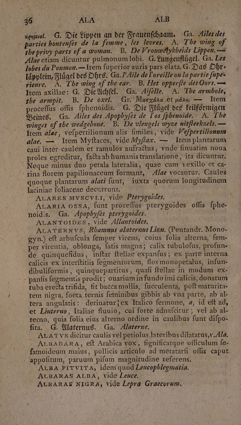 xe«uyet..— G.. Die ippet an ber Srauenfthaan, — Ga. Aliles des - parties bonteu[es. de la femme, les. levres.. A. Tbe wing of tbe privy parts of a woman. B. De Vrouwelykbeids Lippen. — Alae etiam dicuntur pulmonumlobi. G.fungenflligel. Ga. Les lobes du Poumon.—Jtem faperior auris pars elata. G. a8 fbr» lápplein, Süigel beg jbr8. Ga. Aile de l'oreille ou la partie fupe* 'vieure. A. Tbe wing of tbe ear. B. Het opper(le des Qors. — Item axillae: G. Sjie9ldfel. Ga. Aifelle. A. Tbe armbole, | he armpit. B. De oxet. Gr. Maexáaa;ét uán« — — ltem proceffus offis fphenoidis. |G. S»íe (Slüigel be€ feilfórmigen SSeineg. Ga. 4iles des Apopbyfes de l'os [pbenoide. A. The minges of tbe wedgebone. B. De vleugels wyze uitfleekzels. — Item alae, vefpertilionum alis fimiles, vide Fefpertilionum . alae. — | Item Myftaces, vide Myflax. — — Item plantarum caui intér- caulem et ramulos anfractus; vnde finuatim noua proles egreditur, factaab humanis translatione, ita dicuntur. ' Neque minus duo petala lateralia, quae cum: vexillo et ca- ' rina florem papilionaceum formant, /ae vocantur. Caules quoque plantarum a/ai funt, iuxta quorum longitudinem laciniae foliaceae decurrunt. | | ^' ALARES MVSCVLI, vide Pterygoides. | ALARIA OSSA, funt proceffus pterygoides offis fphe-. noidis. Ga. Apopbyfes pterygoides. | : ALANTOIDES, vide Allantoides. | ALATERNVS, Rbamnus alaternus Linn. (Pentandr. Mono-- gyn.) eft arbufcula femper virens, cuius folia alterna, fem- per virentia, oblonga, fatis magna; calix tubulofus, profun- de quinquefidus, inftar ftellae expanfus; ex parte interna calicis ex interftitiis feementorum, flos monopetalus, infun- dibuliformis, quinquepartitus, quafi ftellae in modum ex- - panfis fegmentis prodit; ouariumin fundo imi calicis, donatum tuba erecta trifida, fit bacca mollis, fucculenta, poft maturita* tem nigra, foeta ternis feminibus gibbis ab vna parte, ab al- tera angulatis: deriuaturjex Italico fermone, a, id eft ad, et Linteruo, ltaliae fluuio, cui forte adnafceitur ; vel ab al- - terno, quia folia eius alterno ordine in caulibus funt difpo- fita. .G. 9laternus. Ga. Alaterne. |J. ALATVS dicitur caulis vel petiolus lateribus dilatatus;v.A4/a. |. ALBADARA , eft Arabica vox, fignificatque officulum fe- famoideum maius, pollicis articalo ad metatarfi offis caput. . 'appofitum, paruum pifum magnitudine referens, | ALBA.PITVITA, idem quod Leucophblegmatia. ALBARAS ALBA, vide Lezce.. ALBARAS NIGRA, vide Lepra Graecorum.