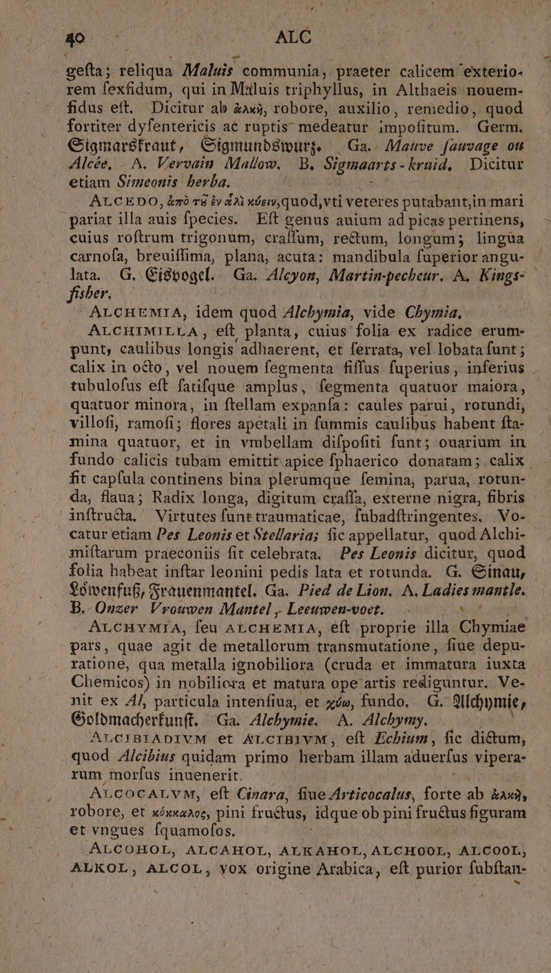 NS. 40 MORE vio « » ds S AE) - gefta; reliqua. Malus communia, praeter calicem 'exterio- rem fexfidum, qui in Mzluis triphyllus, in Althaeis nouem- fidus eft. Dicitur ab &amp;axa, robore, auxilio, remedio, quod fortiter dyfentericis ac ruptis: medeatur impofitum. Germ. Gigmaréfraut, (Gligmunbstourj. — Ga.. Mauve fauvage ott Alcée, . ^, Vervain Mallaw. B, Sigmaarts-kruid, Dicitur etiam Simeonis berba. RR jx ! ALCEDO, &amp;zà r8 iv xA óc, quod,vti veteres putabant;in mari pariat illa auis fpecies. Eft genus auium ad picas pertinens, cuius roftrum trigonum, craffum, rectum, longum; lingüa carnofa, breuiffima, plana, acuta: mandibula fuperior angu- lata. G. Ci$9ogel. Ga. A/cyom, Martin-pecheur. A, Kings- fiber. —— | | i  ALCHEMIA, idem quod A/chbymia, vide Cbymia, ALCHIMILLA, eft planta, cuius folia ex radice erum- punt, caulibus longis adhaerent, et ferrata, vel.lobata funt ; calix in octo, vel nouem fegmenta fiffus fuperius , inferius tubulofus eft fatifque amplus, fegmenta quatuor maiora, quatuor minora, in ftellam expanía: caules parui, rotundi, villofi, ramofi; flores apetali in fummis caulibus habent fta- mina quatuor, et in vmbellam difpofiti funt; ouarium in fundo calicis tubam emittit apice fphaerico donatam; calix fit capfula continens bina plerumque femina, parua, rotun- da, flaua; Radix longa, digitum craffa, externe nigra, fibris inftru&amp;a, Virtutes funt traumaticae, fubadílringentes. Vo- catur etiam Pes Leonis et Stellaria; fic appellatur, quod Alchi- miftarum praeconiis fit celebrata. Pes Leonis dicitur, quod folia habeat inftar leonini pedis lata et rotunda. G. Cinau, €ómenfuf, Svatenmantel. Ga. Pied de Lion. A. Ladies mantle. B.-Quzer Vrouwen Mantel ,, Leeuen-voet. 0^ pA ALCHYMIA, feu ALCHEMIA, eft proprie illa Chymiae pars, quae agit de metallorum transmutatione, fiue depu- ratione, qua metalla ignobiliora (cruda et immatura iuxta Chemicos) in nobiliora et matura ope artis rediguntur, Ve- nit ex AJ, particula intenfiua, et xe, fundo. G. 9lld)ymie, Gelbmacberfunft. Ga. Alchbymie. A. Alchymy. | 7 ALCIBIADIVM et A&amp;LCIBIVM, eft Echium, fic dictum; quod Zlcibius quidam primo herbam illam aduerfus vipera- rum morfus inuenerit. | ALCOCALVM, eft Cizara, fiueArticocalus, forte ab &amp;asa, robore, et xéx«aAoc, pini fructus, idque ob pini fructus figuram et vngues fquamofos, Hh. - ALCOHOL, ALCAHOL, ALKAHOL, ALCHOOL, ALCOOL, ALKOL, ALCOL, voX origine Arabica, eft purior fubftan-