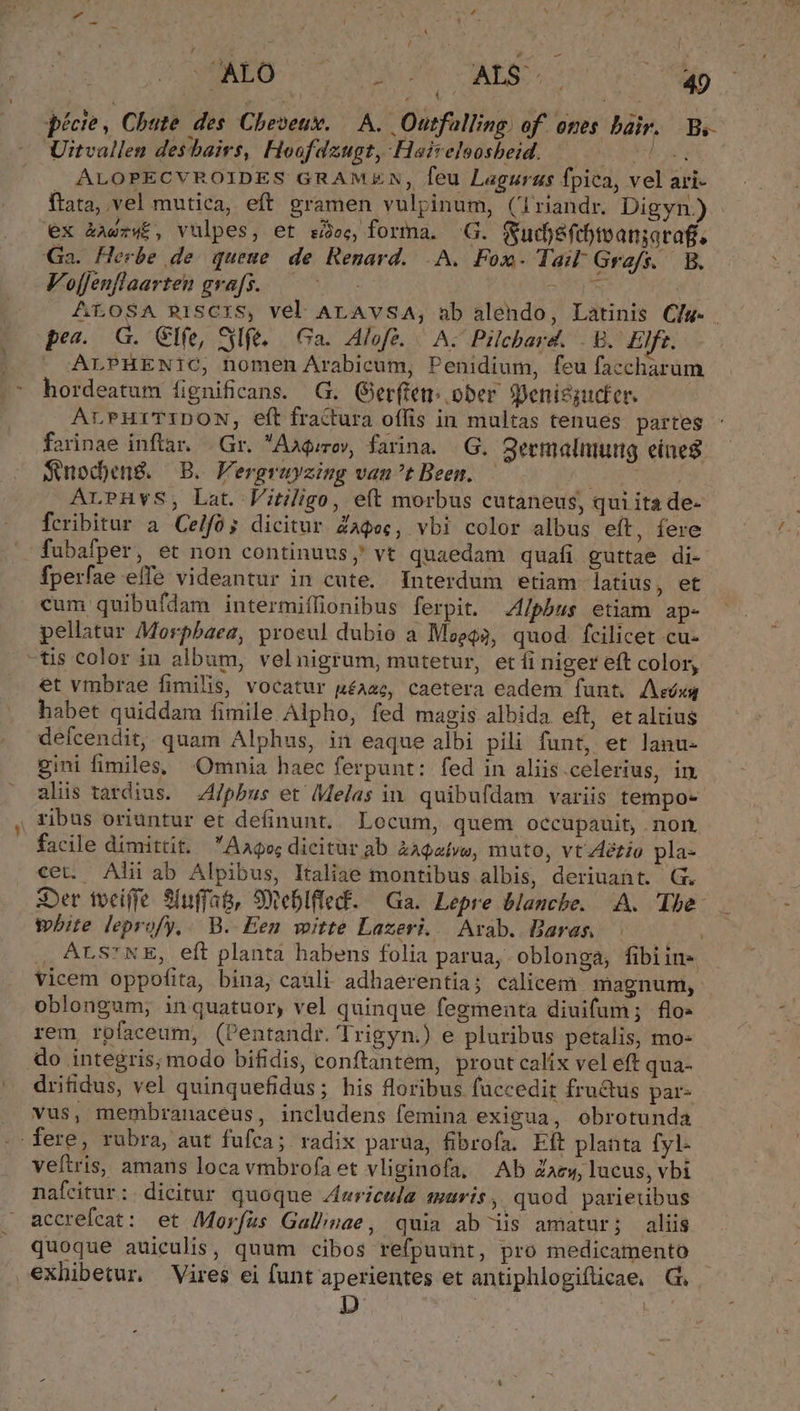 pécie, Chute des. Cheveux. — A. Outfalling. off ones bair. B. Uitvallen desbairs, Hoofdzugt, Haireloosbeid. Nr ALOPECVROIDES GRAMEN, feu Laguraus fpica, vel ari- ftata, vel mutica, eft gramen vulpinum, ('1riandr. Digyn.) ex àaezwE, vulpes, et sec, forma. G. Sudjsfeteanjarafi. Ga. Herbe de. queue de. Renard. .A. Fox. Tai Grafs. B. Voffenflaarten grafs. — ^ - ds | ALtOSA P1SCIS, Vel ALAvSA, ab alendo, Latinis Clg- . pev -(G. Gfe, Sylfe, —| Ga. Alofe. /— Az Pilcbard. | E. Eft. ALPHENIC, nomen Arabicum, Penidium, feu faccharum hordeatum fignificans. G. Gerftem. ober. SDenicgucfer. ALPHITIDON, eft fractura offis in multas tenues. partes farinae inftar. | Gr. Aageroy, farina. .G. Seemalnung eínes $noden&amp;. B. Fergruyzing vant Been. UL a ALPHvS, Lat. Vitiligo, ett morbus cutaneus, qui ita de- fcribitur a Celfó; dicitur ZaQec, vbi color albus eft, fere fubafper, et non continuus, vt quaedam quafi guttae di- fperfae effe videantur in cute. Interdum etiam latius, et cum quibufdam intermiffionibus ferpit. Alphbus etam ap- pellatur Morpbaea, proeul dubio a Moeq?, quod. fcilicet cu- -tis color in album, velnigrum, mutetur, et fi niger eft color, et vmbrae fimilis, vocatur uéaae, caetera eadem funt. Aeóxq habet quiddam fimile Alpho, fed magis albida eft, et altius defcendit, quam Alphus, in eaque albi pili funt, et lanu- gini fimiles, Omnia haec ferpunt: fed in aliis.celerius, in. alis tardius. 4/pbus et Melas in. quibufdam variis tempo- , tibus oriuntur et definunt. Locum, quem occupauit, non facile dimittit. Aago dicitur ab Zagatvw, muto, vt4ézio pla- cet. Alii ab Alpibus, Italiae montibus albis, deriuant. G. 3:Der fociffe 2fuffat, Soteblfled. — Ga. Lepre blanche. A. The. white leprofy,. B. Een witte Lazeri. Arab. Baras | , ALS*KE, eft planta habens folia parua, oblonga, fibiin vicem oppofita, bina, cabli. adhaerentia; calicem: magnum, oblongum; inquatuor, vel quinque fegmenta diuifum ; flo rem rofaceum, (Pentandr. Trigyn.) e pluribus petalis, mo- do integris; modo bifidis, conftantem, prout calix vel eft qua- drifidus, vel quinquefidus; his floribus faccedir fru&amp;tus par- vus, membranaceus, includens femina exigua, obrotunda fere, rubra, aut fufca; radix parua, fibrofa. Eft planta fyl- veftris, amans loca vmbrofa et vliginofa, — Ab Zazw, lucus, vbi nafcitur: dicitur quoque Aericula muris, quod parietibus accrefcat: et Morfus Gal''ae, quia ab iis amatur; aliis quoque auiceulis, quum cibos refpuunt, pro medicamento exhibetur. Vires ei funt aperientes et antiphlogiflicae, Gi D à |