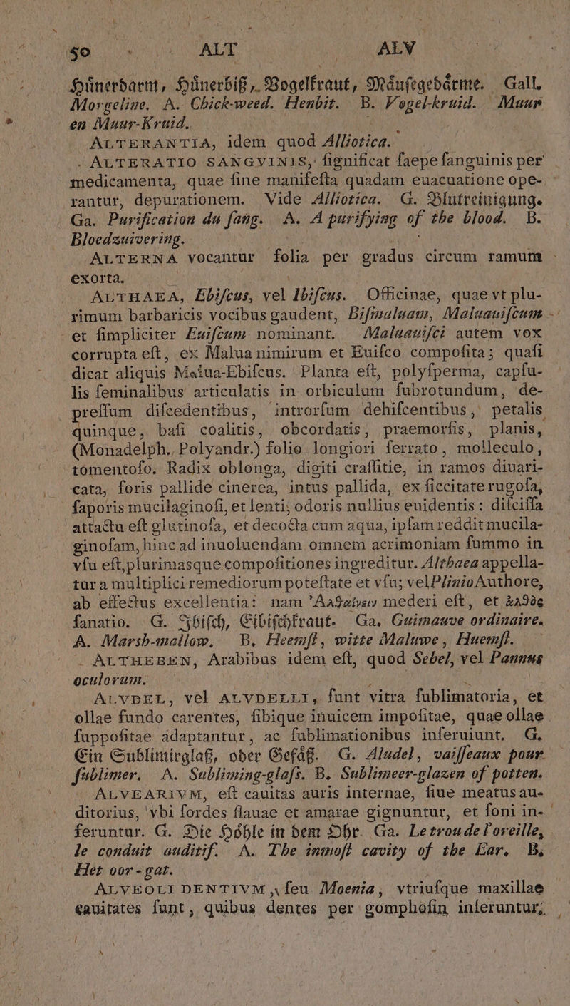 Ün os ou UAUE (OUAEN. foünerbarmt, Oünerbif ». 88ogelfraut, S9Réufegebárme. | Gall, Morgeliue. A. Chick-weed. Henbit. | B. Vegelkruid. — Muun en Muur-Krüid. ; Mon ALTERANTIA, idem quod A/[otica. rantur, depurationem. Vide A/Hotica. G. S3lutreínigung. Ga. Purification du fang. |. A. .A purifyimg of tbe blood. B. Bloedzuivering. [ exorta. ArvLTHAEA, Ebifcus, vel Ibfcus. | Officinae, quae vt plu- rimum barbaricis vocibus gaudent, Bifmaeluam, Maluauifcum -et fimpliciter Ewifeum nominant. —Malgasifei autem vox corrupta eft, ex Malua nimirum et Euifco. compofita; quafi dicat aliquis Meiua-Ebifcus. Planta eft, polyfperma, capfu- lis feminalibus articulatis in orbiculum fubrotundum, de- quinque, bafi coalitis, obcordatis, praemorfis, planis, (Monadelph., Polyandr.) folie. longiori ferrato, molleculo, ^ tomentofo. Radix oblonga, digiti craffitie, in ramos diuari- faporis mucilaginofi, et lenti; odoris nullius euidentis : difciffa attactu eft glutinofa, et decocta cum aqua, ipfam reddit mucila- ginofam, hinc ad inuoluendam omnem acrimoniam fummo in vfu eftplurimasque compofitiones ingreditur. Z4/tbaea appella- tura multiplici remediorum poteftate et vfu; velP/izio Authore, fanatio. .G. Sj6ifd, Cibiftbfraut. Ga. Guimauve ordinaire. A. Marsb-mallow, | B. Heemfl, witte Malte, Huempl. . ALTHEBEN, Arabibus idem eft, quod Sebel, vel Paunus oculovum. —— Nd 4 | AuvuvDEL, vel ALVDELLI, funt vitra fublimatoria, et ollae fundo carentes, fibique inuicem impofitae, quae ollae fuppofitae adaptantur, ac fublimationibus inferuiunt. G. Cin Gublimirgla&amp;, ober Gefag. G. Aludel, vailfeaux pour. füblimer. A. Subliming-gla[s. B. Sublimeer-glazen of potten. ALVEARiVM, eft cauitas auris internae, fiue meatus au- Li de couduit auditif. A. Tbe inmofl cavity of tbe Ear. B, | Het oor - gat. ( ALVEOLI DENTIVM feu Moenia, vtriufque maxillae €auitates funt, quibus dentes per gomphafin inferuntur,