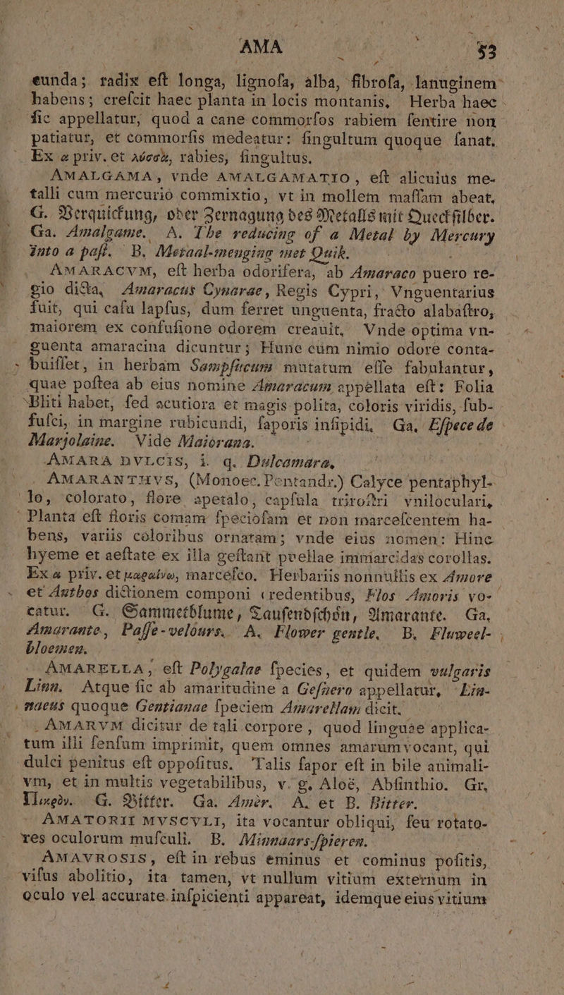 AMA CNRC ql eunda; radix eft longa, lignofa, alba, fibrofa, lanuginem- habens; erefcit haec planta in locis montanis, Herba haec - fic appellatur, quod a cane commorfos rabiem fentire non patiatur, et commorfis medeatur: fingultum quoque fanat. Ex e priv. et Aécez, rabies, fingultus. Ji uA AMALGAMA; vnde AMALGAMATIO, eft alicuius me- talli cum mercurió commixtio, vt in mollem maffam abeat, G. 3Serquicfung, ober 3ernaguna beg Jxetalla mit Quectfilber. Ga. /malgame. A. Tbe reducing of a Metal by Mercury into a paf. B. Meraal-meugiag iet Quik. irt; jo AMARACVM, eft herba odorifera, ab Z4maraco puero re- gio dida, 4waracus Cynarae , Regis Cypri, Vnguentarius fuit, qui cafu lapfus, dum ferret unguenta, fracto alabaftro, maiorem ex confufione odorem creauit, Vnde optima vn- guenta amaracina dicuntur; Hune cüm nimio odore conta- : buiffet, in herbam Sampfecum mutatum elfe fabulantur, . Auae poftea ab eius nomine zgaraecum appellata eft: Folia . NBliti habet; fed ecutiora et magis polita, coloris viridis, fub- - fuíci, in margine rubicundi, faporis infipidi, Ga, Ejfpece de Marjolaine. Vide Maiórama. : ei ' -AMARA DVLCIS, i . q. Dwslcamara. AMARANTHVS, (Monoec. Pentandr.)) Calyce pentaphyl. lo, colorato, flore apetáalo, capíula trirofri vniloculari, Planta eft floris comam: fpeciofam et non rmarcefcentem ha- bens, variis coloribus ornatam; vnde eius nomen: Hinc » hyeme et aeftate ex illa geftant pvellae imniarcidas corollas. Ex « priv. et kagalvo, marcéfco. Herbariis nonnuitis ex more - et Zutbos dictionem componi credentibus, Flos moris vo- eatur. G. Gammetblume, Gaufenbfcbón, 9ímarante. Ga. Amarante, Paffe-velours. A. Flomer gentle, — B. Fliwweel- bloemen. AMARELLA , eft Polygalae fpecies, et quidem vulgaris Lisa. Atque fic ab amaritudine a Gefzero appellatur, ^ Lim- üeu$ quoque Gentiagae fpeciem Amarellam dicit. . AMARVM dicitur de tali corpore , quod linguae applica- tum illi fenfum imprimit, quem omnes amarumvocant, qui dulci penitus eft oppofitus. Talis fapor eft in bile animali- vm, et in multis vegetabilibus, v.g, Aloé, Abfinthio. Gr, Ylaeh. (G. QSiffer. Ga. Aur. A. et B. Bitter. AMATORII MYVSCYLI, ita vocantur obliqui, feu rotato- res oculorum mufculi. B. AMiunaars.fpieren.- AMAVROSIS, eftin rebus eminus et cominus pofitis, vifus abolitio, ita tamen, vt nullum vitium externum in oculo vel accurate. infpicienti appareat, idemque eius vitium