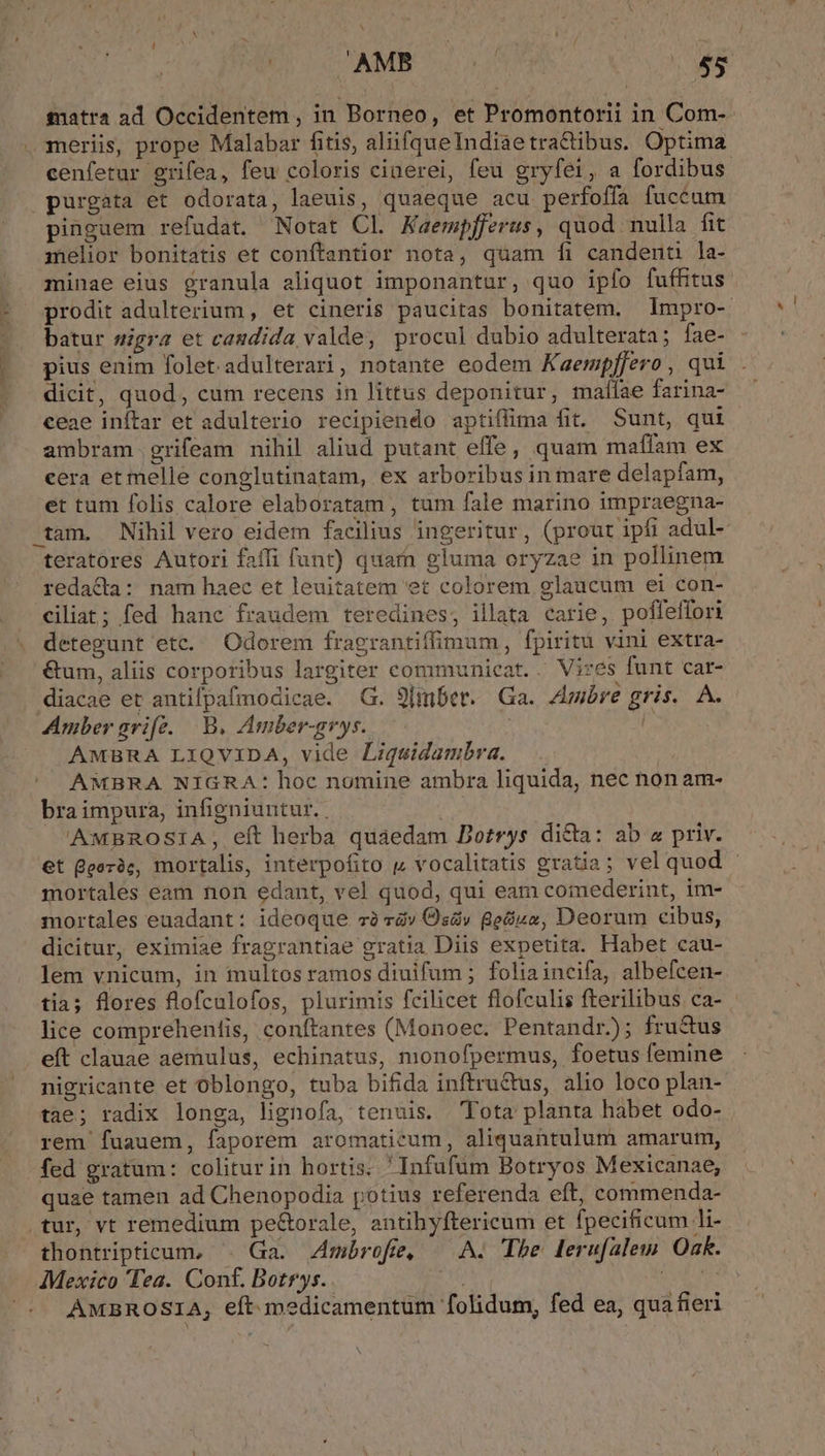 'AMB Mu. A 255 gnatra ad Occidentem, in Borneo, et Promontorii 1n Com- . meriis, prope Malabar fitis, aliifqueIndiaetra&amp;ibus. Optima cenfetur grifea, feu coloris cinerei, feu gryfei, a fordibus purgata et odorata, laeuis, quaeque acu perfoffa fuccum pinguem refudat. Notat Cl Kaempfjferus, quod nulla fit melior bonitatis et conftantior nota, quam fi candent la- minae eius granula aliquot imponantur, quo ipfo fuffitus prodit adulterium , et cineris paucitas bonitatem. Impro-. batur sigra et candida valde, procul dubio adulterata; fae- pius enim folet.adulterari, notante eodem Kaerpffero , qui dicit, quod, cum recens in littus deponitur, malae farina- ceae inftar et adulterio recipiendo aptiffima fit. Sunt, qui ambram grifeam nihil aliud putant effe, quam maffam ex cera et melle conglutinatam, ex arboribus in mare delapfam, et tum folis calore elaboratam , tum fale marino impraegna- tam, Nihil vero eidem facilius ingeritur, (prout ipfi adul- teratores Autori faffi funt) quarn gluma oryzae in pollinem redacta: nam haec et leuitatem 'et colorem glaucum ei con- ciliat; fed hanc fraudem teredines, illata carie, poffeffori detegunt etc. Odorem fragrantiffimum, fpiritu vini extra- &amp;um, aliis corporibus largiter communicat. . Vizes funt car- diacae et antifpafmodicae. G. 9[mber. Ga. Ambre gris. A. Amber avi[fz. B. Amber-grys. | | AMBRA LIQVIDA, vide Liquidambra. ^ AMBRA NIGRA: hoc nomine ambra liquida, nec non am- bra impura, infigniuntur. . | AMBROSIA, eft herba quaedam Dotrys dicta: ab « priv. et Qeoeràc, mortalis, interpofito p vocalitatis gratia; vel quod mortales eam non edant, vel quod, qui eam comederint, im- mortales euadant: ideoque zà àv (s2v ge&amp;ua, Deorum cibus, dicitur, eximiae fragrantiae gratia Diis expetita. Habet cau- lem vnicum, in multos ramos diuifum ; foliaincifa, albefcen- tia; flores flofculofos, plurimis fcilicet flofculis fterilibus ca- lice comprehentis, conftantes (Monoec. Pentandr.); fru&amp;us eft clauae aemulus, echinatus, monofpermus, foetus femine nigricante et oblongo, tuba bifida inftru&amp;us, alio loco plan-- tae; radix longa, lignofa, tenuis. Tota planta habet odo- rem fuauem, faporem aromaticum, aliquantulum amarum, fed gratum: coliturin hortis. 'Infufum Botryos Mexicanae, quae tamen ad Chenopodia potius referenda eft, commenda- .tur, vt remedium pe&amp;orale, antihyftericum et fpecificum li- thontripticum, . Ga. mbrofe, — A. The lerufalew Oak. Mexico Tea. Conf. Botrys.. b AMBROSIA, eft medicamentum folidum, fed ea, quafieri