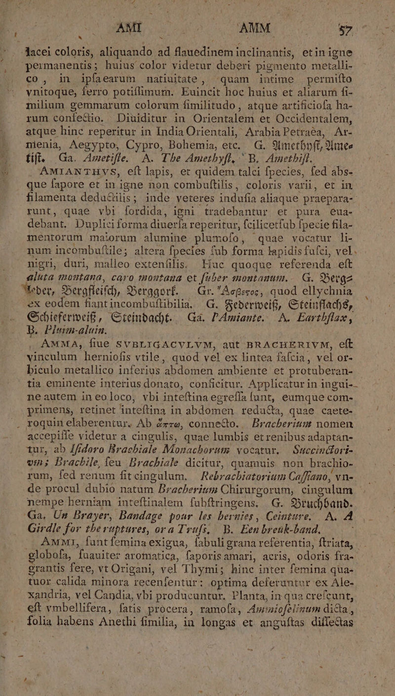 ^ ALAS 1 co, in ipfaearum natiuitate, -quam intime . permifto vnitoque, ferro potiflimum. Euincit hoc huius et aliarum fi- milium gemmarum colorum fimilitudo, atque artificiofa ha- rum confe&amp;io. Diuiditur in Orientalem et Occidentalem, atque hinc reperitur in India Orientali, ArabiaPetraéa, Ar- nienia, Aegypto, Cypro, Bohemia, etc. G. 9Imetbpft, 2imee fif. Ga. Ametifle. A. Tbe Amethyfl, ^ B, Ametbijl.. , AMIANTHVS, eft lapis, et quidem talci fpecies, fed abs- que fapore et in igne non combultilis, coloris varii, et in filamenta deductlis; inde veteres indufia aliaque praepara- runt, quae vbi fordida, igni tradebantur et pura eua- debant. Duplici forma diuerla reperitur, fcilicetfub fpecie fila- mentorum maiorum alumine plumofo, quae vocatur li- num incombuftile; altera fpecies fub forma lapidis fufci, vel. nigri duri, malleo exteníilis. Huc quoque referenda eft aluta mostana, caro moutaua et füber montanum... G. SSergz ex eodem fiantincombuflibilia, G. Sebertoeif, Gteinflad8, Goiefertoei&amp;, GCteinbad)t.. Ga. PAmiaute.. A. Eartbflax, D. Pleim-aluin. AMMA, fiue SVBLIGACVLVM, aut BRACHERIVM, eft vinculum herniofis vtile, quod vel ex lintea fafcia, vel or- biculo metallico inferius abdomen ambiente et protuberan- tia eminente interius donato, conficitur. Applicatur in ingui-- neautem in eoloco, vbi inteftina egreffía funt, eumque com- primens, retinet inteftina in abdomen redu&amp;a, quae caete- roquin elaberentur. Ab Zzze, conne&amp;o. .. Bracherium nomen accepiffe videtur a cingulis, quae lumbis etrenibus adaptan- tur, ab J//idoro Bracbiale. Monachoruts vocatur. — Succinctori- vin; Dracbile, feu Brachiale dicitur, quamuis non brachio- rum, fed renum fitcingulum. — Rebracbiatorium Caffíano, vn- de procul dubio natum Bracberit Chirurgorum, cingulum nempe herniam inteftinalem fubftringens, G. S5rud)banb. Girdle for the ruptures, ora Trufs, / B. Een breük-baud. AMMi1, fantfeminaexigua, fabuli grana referentia, ftriata, globofa, fuauiter aromatica, faporis amari, acris, odoris fra-- erantis fere, vt Origani, vel Thymi; hinc inter femina qua- tuor calida minora recenfentur: optima deferuntur ex Ale- xandria, vel Candia, vbi producuntur, Planta, in qua crefcunt, eft vmbellifera, fatis procera, ramofa, Am:niofelinum dicta, folia habens Anethi fimilia, in longas et anguftas diifectas
