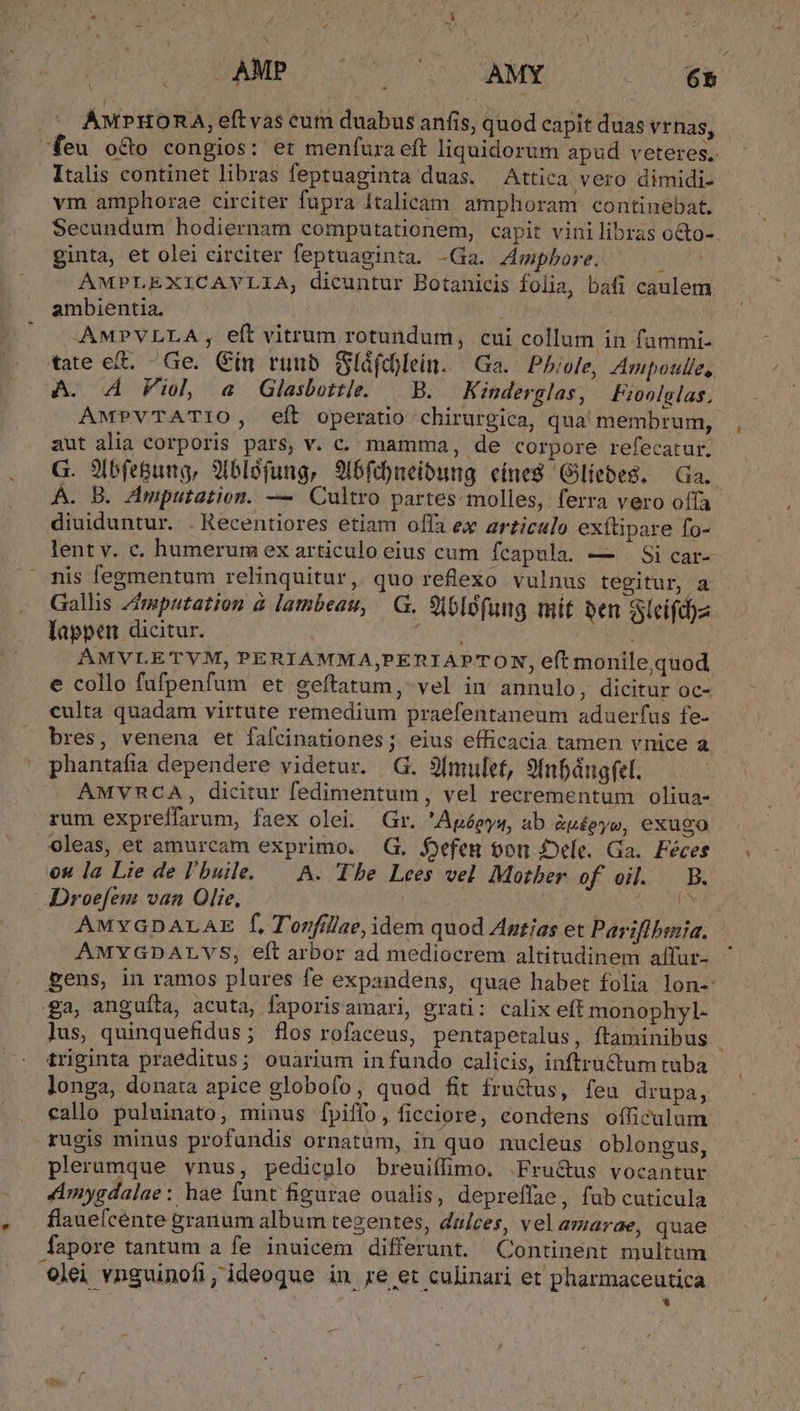 | AMP Pm AMY . 65 AMPHORA, eftvas cum duabus anfis, quod capit duas vrnas, feu o&amp;o congios: et menfura eft liquidorum apud veteres. Italis continet libras feptuaginta duas. Attica vero dimidi- vm amphorae circiter fupra Italicam. amphoram: continebat. Secundum hodiernam computationem, capit vini libras oto-. ginta, et olei circiter feptuaginta. -Ga. 4Ampbore.. : AMPLEXICAVLJIA, dicuntur Botanicis folia, bafi caulem. ambientia. AMPVLLA , eft vitrum rotundum, cui collum in fammi- tate e. -Ge. Cin runb Sláfd)lein. Ga. Pbhíole, Ampoulle,. A. 4 Viol a Glasbottle. | B. — Kinderglas, Fioolglas., AMPVTATIO, eft operatio chirurgica, qua membrum, aut alia corporis pars, v. c. mamma, de corpore refecatur. G. 9ibfe&amp;ung, 9iblefung, 9i6fd)neibung eíneS GilíebeS. Ga. À. B. Amputation. — Cultro partes:molles, ferra vero offa diuiduntur. . Recentiores etiam offa ex articulo exftipare fo- lent v. c. humerum ex articulo eius cum fcapula. — ' Si car-- nis fegmentum relinquitur, quo reflexo vulnus tegitur, a Gallis Zimpatation à lambeau, |G. 916lofung mit ben Sleifd)z lappen dicitur. iEn dd ÁMVLETVM, PERIAMMA,PERIAPTON, eft monile, quod. e collo fufpenfum et geftatum, vel in annulo, dicitur oc- culta quadam virtute remedium praefentaneum aduerfus fe- bres, venena et fafcinationes; eius efficacia tamen vnice a phantafia dependere videtur. | G. 9Ímulet, 9fnfángfel. AMVRCA , dicitur fedimentum, vel recrementum oliua- rum expreffarum, faex olei. Gr. 'Apéeyw, ab àp£eys, exugo oleas, et amurcam exprimo. G. $£efen bon Dele. Ga. Féces os la Lie de l'buile. — A. Tbe Lees vel Mother of oil. — B. Droefem van Olie, M AMYGDALAE f, T'orfillae, idem quod Antias et Pariflbmia. AMYGDALVS, eft arbor ad mediocrem altitudinem affur- ' gens, in ramos plures fe expandens, quae habet folia lon-: ga, anguíta, acuta, faporisamari, grati: calix eff monophyl- jus, quinquefidus; flos rofaceus, pentapetalus, ftaminibus ; triginta praeditus; ouarium in fundo calicis, inftrüctum tuba longa, donata apice globofo, quod fit frudus, feu drupa, callo puluinato, minus [piffo, ficciore, condens officulum rugis minus profundis ornatum, in quo nucleus oblongus, plerumque vnus, pedicglo breuiffimo. .-Fru&amp;us vocantur JAmygdalae: hae fant figurae oualis, depreffae, fab cuticula flauefcente granum album tezentes, dulces, vel amarae, quae fapore tantum a fe inuicem differunt. Continent multum olei vnguinofi, ideoque in re et culinari et pharmaceutica  -—