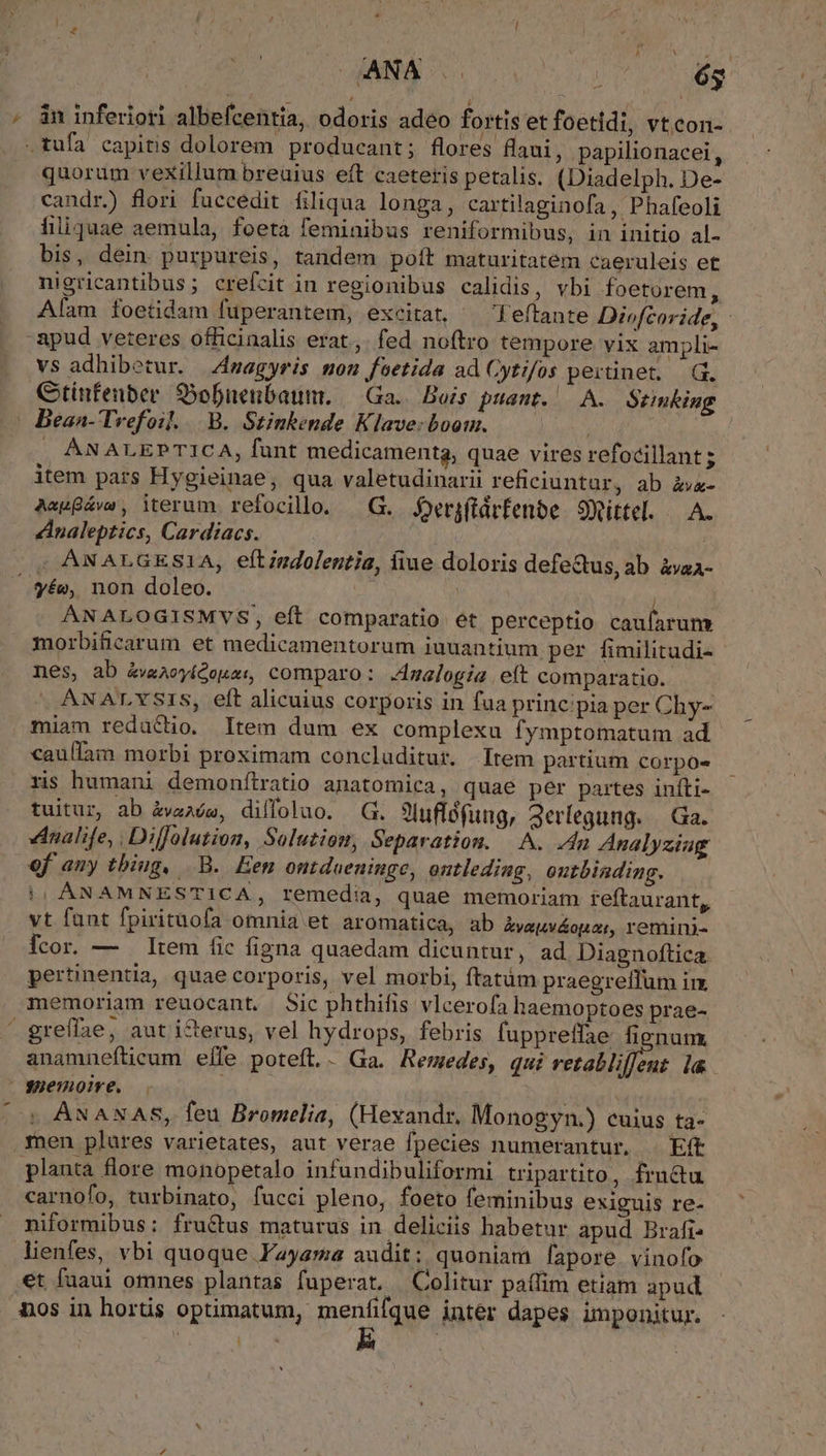 | ; | » &amp;n inferiori albefcentia, odoris adeo fortis et foetidi, vt.con- .tufa capitis dolorem producant; flores Haui, papilionacei, quorum vexillum breuius eft caeteris petalis. (Diadelph. De- candr.) flori fuccedit filiqua longa, cartilaginofa, Phafeoli filiquae aemula, foetà feminibus reniformibus, in initio al- bis, dein. purpureis, tandem poft maturitatem caeruleis et nigricantibus; crefcit in regionibus calidis, vbi foetorem n Alam foetidam fuperantem, excitat, ^ 'Teftante Diofcoride, | apud veteres officinalis erat.,. fed noftro tempore vix ampli- vs adhibetur. Zmagyris mon fsetida ad Cytifos pertinet. — , Ctínfenber SyoDnenbaunt. — Ga. Bois puant. A. Stimking - Bean- Trefoil... B. Stinkende Klave: boom. ; : | , AN ALEPTICA, funt medicamenta, quae vires refocillant ; item pars Hygieinae, qua valetudinarii reficiuntur, ab àv- AegBáve, iterum refocilo. —G. Ser;ftdrfenbe 9Xittel. . A. naleptics, Cardiacs. ANALGESIA, eftindolentia, iue doloris defectus, ab. àvaa-  yée, non doleo. , ANALOGISMVS, eft comparatio ét perceptio caufarum morbificarum et medicamentorum iuuantium per fimilitudi- nes, ab &amp;w«aoyíGoua:, comparo: .malogia eft comparatio. ANALYSIS, eft alicuius corporis in fua principia per Chy- miam reductio. Item dum ex complexu fymptomatum ad. caufíam morbi proximam concluditur. Item partium corpos ris humani demonítratio anatomica, quae per partes infti- tuitur, ab àw«ade, dilloluo. G. 9luffófung, Jerlegung. Ga. dnalife, Diffolution, Solutiom, Separation. |. A. 4n Analyziag ef any tbiug, B. Een ontdaeninge, ontleding, outbinding. ||, ANAMNESTICA, remedia, quae memoriam teftaurant, vt fant fpirituofa omnia et aromatica, ab kyeAvÁouau, remini- fcor. — — Item fic figna quaedam dicuntur, ad Diagnoftica. pertinentia, quae corporis, vel morbi, ftatàm praegretfum im memoriam reuocant. Sic phthifis vlcerofa haemoptoes prae-  greffae, aut ierus, vel hydrops, febris fuppreffae fienunx anamnefticum elfe poteft. Ga. Remedes, qui ES, iron i&amp; - guemoire. is. t | . Weed : ANANAS, feu Bromelia, (Hexandr. Monogyn.) cuius ta- men plures varietates, aut verae fpecies numerantur, — Eft planta flore monopetalo infundibuliformi tripartito, frn&amp;u carnofo, turbinato, fucci pleno, foeto feminibus exiguis re- niformibus: fru&amp;us maturus in deliciis habetur apud Brafi: lienfes, vbi quoque Yayama audit: quoniam fapore vinofo et fuaui omnes plantas fuperat, Colitur paífim etiam apud nos in hortis optimatum, menfifque inter dapes imponitur.