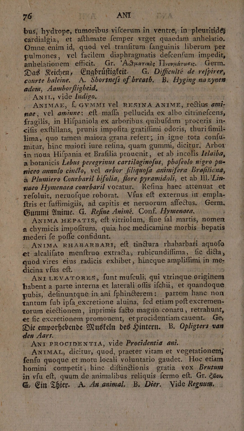 bus; hydtope, tumoribus vifcerum in ventre, in-pleuritidéj cardialeia, et afthmate femper vrget quaedam anhelatio. Omne enim id, quod vel tranfitum fanguinis liberum per pulmones, vel facilem diaphragmatis defcenfum impedit, anhelationem efficit. |. Gr. 'AGparixie Vlvevaézoeu. Germ. | S»a8 feidjem, | Cngbrüftigfeit, — G.. Difficulté de refpirer, courte baleime. A. Sborsne[s of breatb. | B. Hyging nazynen adem, Aambor[ligheid, dm ANIL, vide [nudigo.: 0g oc 8 ada T. . ANIMAE, f, Gv MMI vel RESINA ANIME, rectius atti- pae, vel amiusne: eft. maffa pellucida ex albo citrinefcens, fragilis, in Hifpaniola ex arboribus quibufdam proceris in- cifis exítillans, prunis impofita gratiffimi odoris, thuri fimil- lima, quo tamen maiora grana refert; in igne tota confu- mitar, hinc maiori iure refina, quam gummi, dicitur. Arbor in noua Hifpania et Brafilia prouenit, et ab incolis Jelaiba, a botanicis Lebus peregrinus cartilaginofus, pbafeolo nigro pt siceo auntlo cinclo, vel arbor filiquofa animifera Drafilicua, a Plumiero Courbaril bifolia, flore pyramidali, et ab Yl.'Lin- naco Hymenaea cotrbaril vocatur. Refina haec attenuat et . refoluit, neruofque roborat. Víus eft externus is empla- ftris et fuffimigiis, ad capitis et neruorum affectus. Germ. Gunimi 2(nínie.. G.. Refine Animé. Conf. Hymenaea, |. -. ANIMA HEPATIS, eft vitriolum, fiue fal martis, nomen a chymicis impofitum, quia hoe medicamine morbis hepatis fnederi fe poffe confidunt. RTUA PUE OANIMA RHABARBARI, eft tinctura. rhabarbari aquofo et alcalifato menítruo: extracta, rubicundiffima, fic dila; quod vires eius radicis exhibet, hincque ampliffimi in me: dicina vfus eft. D P if j - ANI LEVATORES;, funt mufculi, qui vtrinque originem habent a. parte interna et laterali offis ifchii, et quandoque pubis, definuntque in ani fphin&amp;terem: | partem hane non tantum fub ipfa excretione aluina, fed etiam poft excremen- torum eie&amp;ionem, inprimis facto mago conatu, retrahunt, et fic excretionem promouent, etprocidentiam cauent. Ge, S»ic emporbebenbe Stusfeln be8 intern. | B. Opligters van. den Aars. : EU | sd ANI PROCIDENTIA, vide Procidentia aui. — - ANIMAL, dicitur, quod, praeter vitam et vegetationem, fenfu quoque et motu locali voluntario gaudet. Hoc etiam. homini competit, hinc diftin&amp;dionis gratia vox Brutum in vfu eft, quum de animalibus reliquis fermo eft. Gr. &amp;&amp;aw, G. Cin &amp;Dier. A. Au animal. B. Dier. Vide Regnum. -