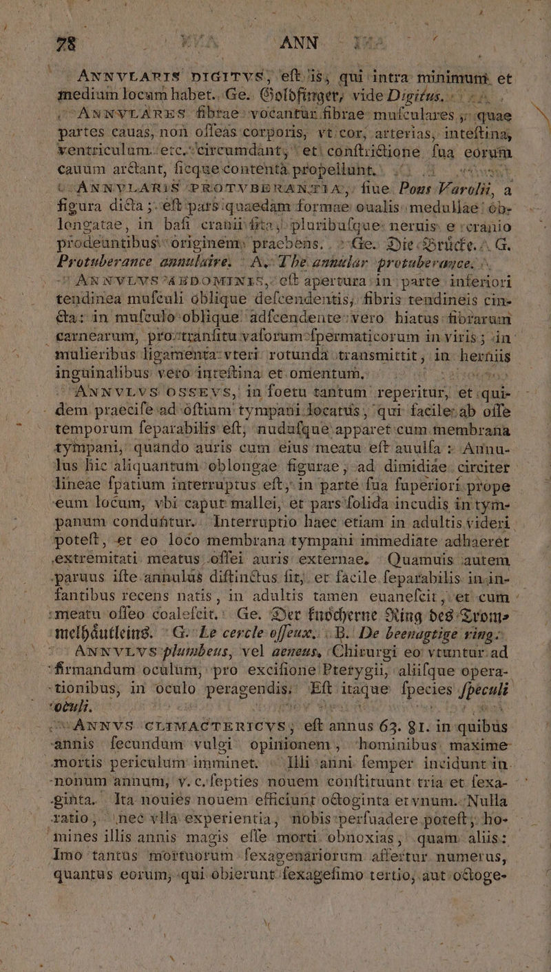 KANNVEATIS bid riy efte nss. qui. intra minimuni. et iedh am locum habet...Ge.. Glolbfinget, vide Digifus, 5. CANWYLARES fibrae: voéantür. fibrae- mufculares ^ quae partes. cauas, non offeas corporis, vt:cor, arterias, inteftina; ventriculum.:etc.*'circumdant; ' et! conftzitione fua cort. m ar&amp;tant, ficque contentà propellunt. 7.306 OANNYLARIS PROTVBERAN/TIA, fiue Pour Vrolii, a lengatae, in bafi cranii dita y pluribufque: neruis: e 'eranio prodeantibus.- originem: prac ens,, Ge. 3)ie. forüdie. ^ G s ipd annulaire; Av The antulár protuberagce. ÜONNONYLWS?^A RON eft apertura in parte RE: Moenia mufceali oblique defcendentis; fibris tendineis cin- &amp;a: in mufculo'oblique' adfcendente:vero hiatus: fibrarum malieribus ligamenta:vteri: rotunda: transmittit, in Nen inguinalibus vero inteftina: et omientum, | / din praecife.ad- oftium tympauii. locatus, qui facile:.ab oife temporum feparabilis eft; nudufque: apparet:.cum. membrana lineae fpatium interruptus eft; in parté fua. fuperiori. prope poteft, et eo loco membrana tympani immediate adhaeret extremitati. meatus .offei auris externae. Quamuis autem jparuus ifte-annulds diftinctus fit; er facile feparabilis. inin- fantibus recens natis, in adultis tamen euanefcit ,.'et cum melbáutleing. ^ G-Le cercle offeux.. |. B. De beenagtige vig COANNVLVS plumbeus, vel aeneus, . Chirurgi eo' vtuntur. ad firmandum ocalum, pro excifione Pterygii, aliifque opera-. etui. ; | OONÁNNVS CLIMACTERICVS; idc annus 63. 81. in- quibus annis fecundum vulei. opinionem , 'hominibus. maxime- nonum annum, y.c.fepties nouem conftiruunt tria et fexa- ginta. . Ita nouiés nouem efficiunt o&amp;oginta er vnum. Nulla Tatio, nee vllà experientia, mobis:perfuadere poteft; ho- mines illis annis magis effe morti obnoxias;' quam. aliis: . Amo tantus mortuorum fexagenariorum. affertur. numerus, J quantus eorum;-qui obierunt fexagefimo tertio, aut. octoge- *