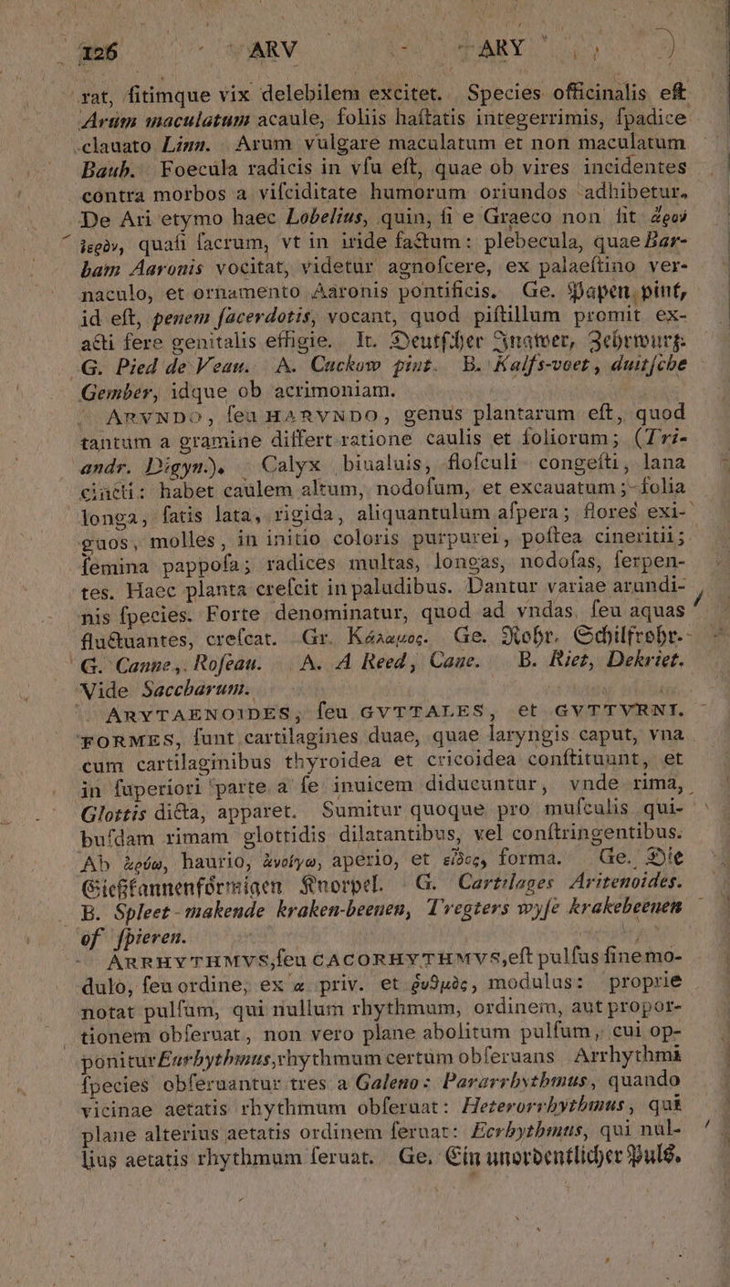 Artitn maculatum acaule, foliis haítatis integerrimis, fpadice Baub. Foecüla radicis in vfu eft, quae ob vires incidentes De Ari etymo haec Lobelius, quin, fi e Graeco non. fit. Zeoj iggàv, quafi facrum, vt in iride fa&amp;tum : plebecula, quae Bar- bam Aarouis vocitat, videtur agnofcere, ex palaeítino ver- naculo, et ornamento Aaronis pontificis, Ge. japen, pint, id eft, pezem facerdotis, vocant, quod piftillum promit ex- acti fere genitalis effigie. It. Syeutf.fer Zynatoer, 3ebrmurg: AevNDo, feaHaRnvNDo, genus plantarum. eft, quod ciücti: habet caulem altum, nodofum, et excauatum ;- folia guos, molles, in initio coloris purpurel; poftea. cineritii;. tes. Haec planta crefcit in paludibus. Dantur variae arundi- nis fpecies. Forte denominatur, quod ad vndas. feu aquas G. Canne, Rofeau. A. A Reed, Cage... B. Riez, Dekriet. cum cartilaginibus thyroidea et cricoidea confítituunt, et in faperiori parte a' fe; inuicem diducuntar, vnde. rima, Glottis dicta, apparet. Sumitur quoque pro mufculis qui-- bufdam rimam glottidis dilatantibus, vel conftringentibus. Gicffannenférreiaen $norpel. | G. Cartrlages. Aritenoides. AnnuvTHMVYVS;feu CACORBY THMVS8,eft pulfus fine mo- dulo, fen ordine; ex « priv. et év9u2c, modulus: proprie notat pulfam, qui nullum rhythmum, ordinem, aut propor- poniturEarbythinus,rhythmum certum obferaans. | Arrhythmà fpecies obferuantur tres a Galeno: Pararrbytbmus, quando vicinae aetatis rhythmum obferuat: Hezerorrbytbmus , qui plane alterius aetatis ordinem feraat: Ecrbytbmtus, qui nul- lius aetatis rhythmum feruat. Ge, Cín unorbentlid)ec pulg, V ^4 À