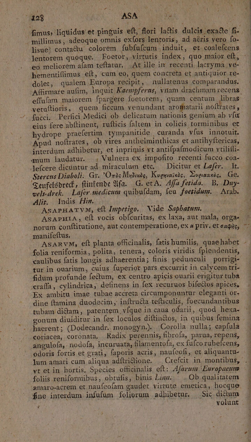 ? millimus, adeoque omnis exfors lentoris, ad aéris yero fo- Jisue! contactu colorem fubfufcum induit, et. coaleícens lentorem quoque. Foetor, virtutis index, quo. maior eft, eo meliorem afam teftatur... At ille im recenti, lacryma ;ve- hementiflimus eft, cum eo, quem concreta et antiquior re- dolet , qualem .Europa recipit , nullatenus comparandus. Afürmare aufim, inquit Kaempferns, viiam drachmam recens effufam. maiorem fpargere foetorem, quam centum libras- vwetuflioris, quem ficcum venundant aroffiatarii noftrates ; fucci. Perfici Medici ob delicatum nationis genium ab vfu eius fere abítinent, rufticis faltem in colicis torminibus et hydrope praefertim tympanitide. curanda vfus innotuit. Apud noftrates , ob vires anthelminthicas et antihyftericas, interdum adhibetur, et inprimis vt antifpafmodicum vtiliffi- 4num laudatur. ; Vulnera ex impofito recenti facco coa- lefcere dicüntur ad. miraculum etc, . Dicitur et Lafer. .. 1t. Stercus Diaboli. Gr. 'Ozóc Ms3iuós, Kvenaixic, Dwipusi odd E Geufelsbrect, ftinfenbe 9lfa- | G. et A. 4ffa ferida... B. .Duy- vels-drek. — Lafev.medicutu quibufdam, feu foetidum. | Arab. Alit. Indis Hm. . it | ASAPHATVM, eft Impetigo. Vide Saphatum. Wt - ASAPHIA , eft vocis obfícaritas, ex laxa, aut mala, orga- norum conftitutione, aut contemperatione, ex « priv. et eae. manifeftus. ^. id 1 Jic ASARYM, eft planta officinalis, fatis humilis, quaehabet folia reniformia, polita, tenera, coloris viridis fplendentis, caulibus fatis longis adhaerentia; finis. pedunculi porrigi- tur in ouarium, culus fuperior pars excurrit in calycem tri- fidum profunde fectum, ex centro apicis ouarii erigitur tuba «ralfa, cylindrica,; definens in fex recuruos bifectos apices, dine ftamina duodecim, inftru&amp;a tefticulis, foecundantibus tubam di&amp;tam , patentem vfque in caua odarii, quod hexa- gonum diuiditur in fex loculos diftin&amp;os, in quibus femina haerent; (Dodecandr. monogyn.) Corolla nulla; capfula coriacea, coronata, Radix perennis, fibrofa, parua, repens, angulofa,. nodofa, incuruata, filamentofa, ex fufco rubefcens, * odoris fortis et gxati, faporis acris, naufeofi, et aliquantu- vt et in hortis, Species officinalis eft: Afarum |Europaeum foliis.reniformübus, obtufis, binis Lizu. ; . Ob qualitatem -amaro-acrem et naufeofam gaudet. virtuté. emetica, hocque. fine interdum infufum foliorum adbibetur. .Sic. dictum rm | volunt . € i H3