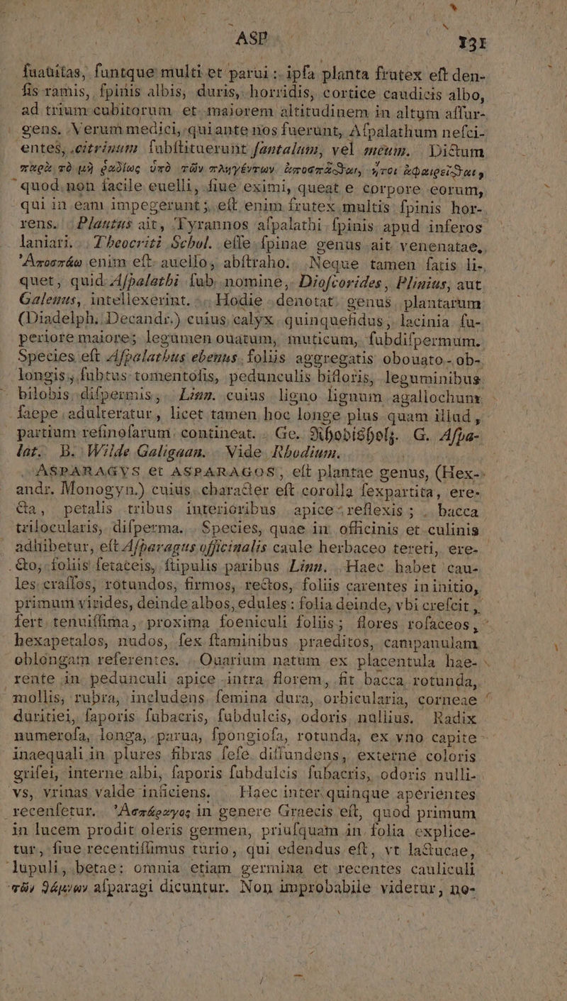 E kr, ? / ^ P e n t: ( : ( A d: N ASB.C 131 fuaüitas, funtque multi et parui :: ipfa planta frutex eft den- fis ramis, fpinis albis, duris, horridis, cortice caudicis albo, ad trium cubitorum et. maiorem altitudinem in altum affur-. gens. Verum medici, quiante nos fuerunt, Afpalathum nefci- entes, ,eitrinum. fabílitaerunt fantalum, vel meum. Dictum chok ró un Quolec Uc cüw mWyÉVTAY &amp;mod mA ur, v r0i &amp;Qaigsiz at n quod.non íacile euelli, fiue eximi, queat e corpore eorum, qui in eam impegerunt ; eít enim frutex multis fpinis hor- rens. Plautus ait, 'Vyrannos afpalathi fpinis apud inferos. laniari.. Theocriti Schol. elle-fpinae genus ait venenatae,, Amoezác enim eft- auello; abftraho. Neque tamen fatis li-, quet, quid: Afpalatbi lub. nomine, Diofcorides , Plinius, aut Galenus, intellexerint. :.. Hodie - denotat. genus. plantarum (Diadelph.; Decand:.) cuius; calyx | quinquefidus ;. lacinia. fu- periore maiore; legamen ouatum, muticum, fubdifpermum. Species eft Afpalatbus ebeuus. folis aggregatis obouato.- ob-. longis fubtus tomentofis, pedunculis bifloris, leguminibus bilobis.difpermus;. Ligz. cuius liguo lignum agallochunx - faepe ;adulteratur, licet tamen hoc longe plus quam iliud ,- partium refinofarum. contineat. . Ge. 9ifobiSbolj. G. Afpa- lat. b. Wilde Galigaan. . Vide Rhodium. | ASPARAGVS et ASPARAGOS,, eft plantae genus, (Hex-- andr. Monogyn.) cuius. chara&amp;er eft corolla fexpartita, ere- Ca, petalis tribus interioribus | apice-reflexis ; ,. bacca trilocularis,. difperma. | Species, quae in officinis et.culinis adhibetur, eft A/baragus officinalis caale herbaceo tereti, ere. . €&amp;o;- foliis fetaceis, ftipulis paribus Ligs. Haec habet cau- les craffos, rotundos, firmos, rectos, foliis carentes ininitio, primum virides, deinde albos, edules : folia deinde, vbi crefcit ,. fert. tenuiffima,. proxima foeniculi foliis; flores rofaceos, * hexapetalos, nudos, fex ftaminibus praeditos, campauulam. oblongam referentes. | Ouarium natum ex placentula hae- . rente in pedunculi apice intra florem, fit bacca, rotunda, mollis, rubra, includens. femina dura, orbicularia, corneae duritiei, faporis. fübacris, fubdulcis, odoris, nallius. Radix numerofa, longa,.parua, fpongiofa, rotunda, ex vno capite inaequali in. plures fibras fefe. dillundens, externe coloris grifei, interne albi, faporis fabdulcis fubacris, odoris nulli-- vs, vrinas valde inüciens. | Haec inter. quinque aperientes .recenfetur. 'Áezezyo; in genere Graecis eft, quod primum in lucem prodit oleris germen, priufquam an. folia. explice- tur, fiue recentifümus turio, qui edendus eft, vt la&amp;ucae, lupuli,.betae: omnia etiam germima et recentes cauliculi 8, 9ápye» alparagi dicuntur. Non improbabile videtur, ne- b -X