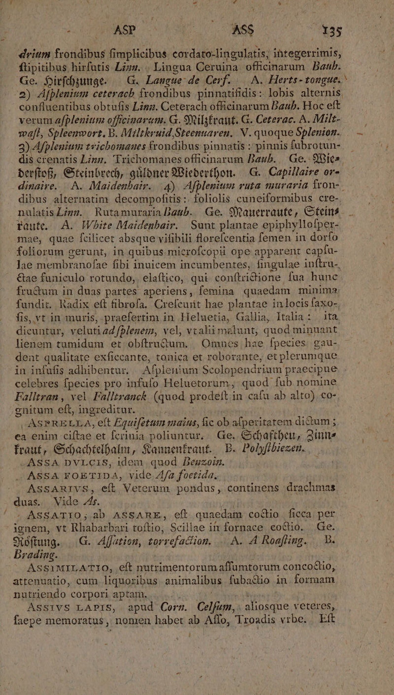 I AER ^ 017088 | — 35 drium frondibus fimplicibus cordato-lingulatis; integerrimis, ftipitibus hirfutis Lzzz. . Lingua Ceruina. officinarum Baub. 2) ÁAfplenism ceteracb frondibus pinnatifidis :- lobis alternis, confluentibus obtufis Lizz. Ceterach officinarum Baub. Hoc eft verum afplenium officiaarum. G. SRilyfraut. G. Ceterac. A. Milt- wa[l, Spleemvort. B. Miltkruid Steenuaren. N. quoque Splenion.. 3) Afpleuium tvichomanes frondibus pinnatis : pinnis fubrotun- dis crenatis Linz. Trichomanes officinarum DBaub..| Ge. 98ies. berftofi, Giteinbreds, aülbner 2BiebevtDon. |G.. Capillaire or- dinaire. A. Maidenbair... 4). Afplemium ruta muraria fron-. dibus alternatim decompofitis:. foliolis cuneiformibus. cre-. nulatisLigz. RutamurariaDaeub. Ge. SWauerraute, GCteins. route. A. White Maidenbair. Sunt plantae epiphyllofper- mae, quae fcilicet absque vifibili florefcentia femen in dorío - foliorum gerunt, in quibus microfcopii ope apparent capfa- lae membranofae fibi inuicem incumbentes, fingulae inftru-, &amp;ae funiculo rotundo, elaftico,; qui. conftridtione, fua hunc. fru&amp;um in duas partes aperiens, femina quaedam minima: fundic.. Radix eft fibrofa, Crefcuiit hae plantae inlocis faxo- fis, vt in muris, praefertim in Heluetia, Gallia, Italia: ita. dicuntur, velutiadfBlenem, vel, vtalii malunt, quod minuant lienem tumidum et obítru£&amp;um. | Omnes, hae fpecies. gau- dent qualitate exficcante, tonica et roborante, et plerumque celebres fpecies pro infufo Heluetorum,; quod fub nomine Falltran , vel. Falltranck. (quod prodelt in cafu ab alto). co- gnitum eft, ingreditur. — | -ASPRELLA, eft Equifetum maius, fic ob afperitatem dictum ; ea enim ciítae et fcrinia poliuntur, Ge. Gdjaftbeu, 3inne fraut, Gdadtebalm, &amp;Sannenfrant. B. Polyffbiezen. —ASSA. DVLCIS, idem quod. Begzoin. ASSA FOETIDA, vide 4/a foetida. ASSARIVS, eft Veterum. pondus, continens drachmas duas. Wide .4r. | m . ASSATIO; ab ASSARE, eft quaedam coctio ficca per ignem, vt Rhabarbari toftio; Scillae in fornace eo&amp;io. Ge. Sioftung. |. .G. Affation, torrefaction. .. A. A Roafling. . B. Drading. ! WIS ASS1MILATIO, eft nutrimentorum affumtorum concocuo, attenuatio, cum liquozibus animalibus fubactio in. formam nutriendo corpori aptam. A UA EDITAR Assivs LAPIS, apud Corm. Celfum,:. aliosque veteres, faepe memoratus, nomen habet ab Aífo, Troadis vrbe. Eft et —