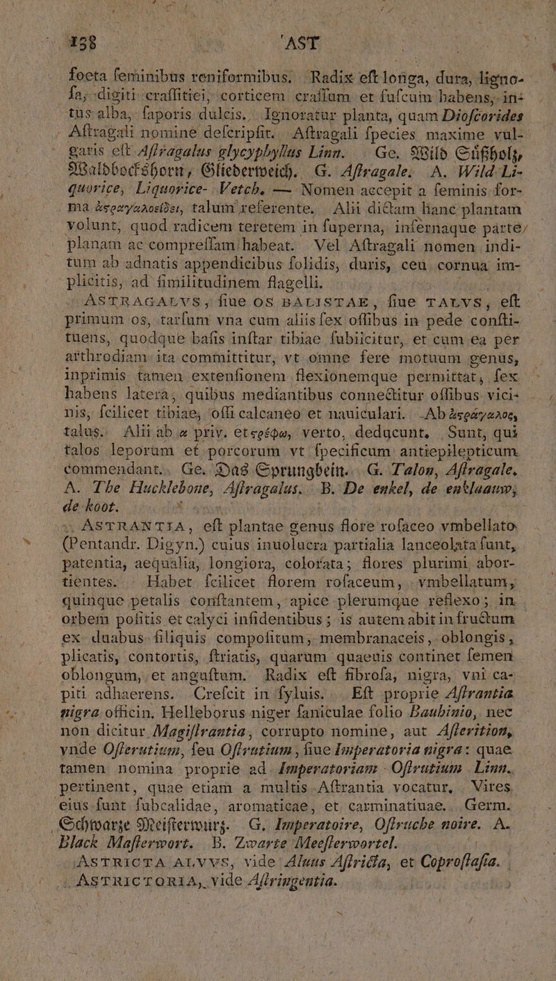 P BM UN AST. foeta feminibus reniformibus, Radix eft ibas. dura, ligno- fa; digiti craffitiei, corticem. craffam et fufcum babens; in: tus alba, faporis dulcis. lgnoratur planta, quam Diofcorides Aftragali nomine defcripfit. Aftragali fpecies maxime vul- garis eft Affragalaus glycypbylus Linz... Ge. Silo Ciüfboly, 9Balbbocfóbort, Glicbertoeid). .G. Afiragale; A. Wild. Li- quorice, Liquorice- .Vetchb, — Nomen aecepit a feminis for- ma Ms oeyoAosDet, talum referente. | Alii di&amp;am lianc plantam volunt, quod radicem teretem in fuperna, infernaque párteé/ planam ac compreffam habeat. Vel Afítragali nomen indi- tum ab adnatis appendicibus folidis, duris, ceu cornua im- plicitis, ad. fimilitudinem flagelli. ASTRAGALVSy;Ílue OS BALISTAE, ro TALYS, eft primum os, tarfum vna cum aliis fex offibus in pede confti- tuens, quodque bafis inftar tibiae fubiicitur, et cum ea per arthrodiam ita committitur, vt omne fere rand genus, inprimis tamen extenfionem flexionemque permittat, fex babens latera, quibus mediantibus connectitur offibus vici- nis, fcilicet tibi offi calcaneo et nauiculari. -Ab ásedryanot, talus. Aliiab a priv. etseéQe, verto, deducunt, , Sunt, qui talos leporam ef porcorum vt fpecificam. antiepilepticum. commendant,. Ge. $»a8 Cprungbein... .G. T'aloz, Aflragale. A. CT 60e LINEA EPO. Afiragalus. B. De enkel, de entlaatiw; de. koot. | | | 2: ASTRANTIA, eft plantae genus flore rofaceo vmbellato. (Pentandr. Digyn.) cuius inuolucra partialia lanceolata funt, patentia, aequalia, longiora, colorata; flores plurimi abor- tientes. ^ Habet fcilicet florem rofaceum, . vmbellatam , quinque petalis conftantem , apice plerumque reflexo; in . orbem pofitis et calyci infi dentibus ; ; i$ autem abit in fructum ex. duabus filiquis compofitum ;. membranaceis , oblongis , plicatis, contortis, ftriaüs, quarum quaeuis continet femen oblongum, et anguftum. Radix eft fibrofa, nigra, vni ca- pii adhaerens. Crefcit in fyluis. . Et. proprie Affrantia nigra ofüicin. Helleborus niger faniculae folio Baubinio, nec non dicitur Magi[lrastia, corrupto nomine, aut Aflerition, ynde Offerutium, feu Offratium , fiue Imperatoria nigra: quae tamen nomina proprie ad 4Zmperatoriam - Ofivutium . Linn. pertinent, quae etiam a multis Aftrantia vocatur, Vires. eius funt. fubcalidae, aromaticae, et carminatiuae.. Germ. , &amp;dytoarge Seiffertourg. G. Imperatoire, Offruche noire. A. Black. Maflerwort. |.-B. Zxwwarte Meeflerwortel. |ASTRICTA ALVVS, vide AÍuus Aflridla, et Gopraff NT . AsTRIC TORIA, vide Afiriugentia. |