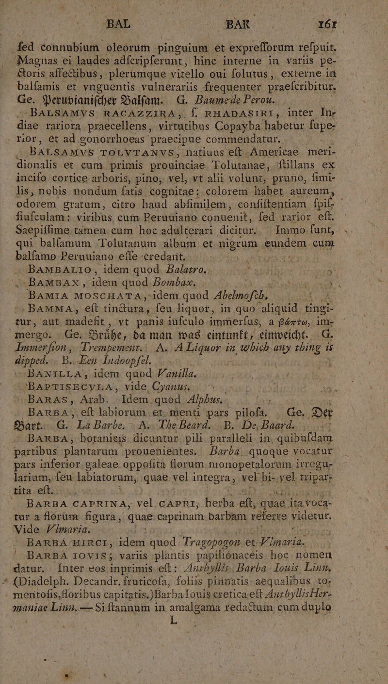 BAL | BAR . 316r €toris affectibus, plerümque vitello oui folutus, externe in balfamis et vnguentis vulnerariis frequenter. praefcribitur, Ge. Sperubianifcer SSalfam. |G. Baumede Perou.. BALSAMVS RACAZZIRA,; f. RHADASIRI, inter Inr Ee rariora praecellens, virtutibus Copayba habetur füpe- DL L BALSAMVS TOLVTANVS, natiuus eft. Americae meri- dionalis et cum primis prouinciae 'Tolutanae, ítillans ex incifo cortice arboris, pino, vel, vt alii volunt, pruno, fimi- odorem gratum, citro haud abfimilem, confiftentiam fpif. fiufculam: viribus cum Peruano conuenit, fed rarior eft. Saepifiime tamen. cum hoc adulterari dicitur. Immo funt, qui bal(amum Tolutanum album et nigrum . eundem. curn balfamo Peruuiano:efle :eredarit.si5 10 ooa BAMBAL1O, idem quod. Balazro. * sudirhis  -BAMBAX, idem quod. Bombax., . | » B vel -BAMIA MOSCHATA idem quod Abelmoftb,. : BAMMA, eft tin£ura, feu liquor, in quo aliquid tingi- tur, aut madefit , vt panis iufculo immerfus, a gézze;. ine mergo. Ge. S5rübe, ba man toas. eintunf£; eintoeicht. o6 Immer fion y | Trempement: | A. A Liquor in, gbich. any zbing is Bipped. B. Een. Indoopfel. » BANILLA, idem quod nilla. CBAPTISECYLA, vide Cyanus | ^ BARAS, Arab. Idem quod Alpbus,. BARBA, eft labiorum et. menti pars pilofa. | Ge. De Srt. G. pu Barbe. ..A. The Beard. B. De, Baard. BARBA, botanieis dicantur. pili paralleli in; quibufdam pars inferior. galeae oppofita florum monopetalorum irregu- larium, feu labiatorum, IQUUR vel integra, vel bi-. yel: ripas: BARBA CAPRINA, vel. CAPRr, herba eft, $183d ita voca- Vide maria. ; BARBA HIRCI; idem quod Trussnen et JVInaria.. ! BARBA IOV1S; varüs plantis papiliónaceis hoc nomen datur. Ínter eos inprimis.e(t: 4azbylls. Barba. louis Linm, (Diadelph. Decandr. fruticofa, foliis pinnatis aequalibus to- mentofis,Horibus capitatis. )Bar baTouis eretica.eft AnzhyllisHer- mauiae Liuu. — $iftannum in amalgama redactum cum duplo