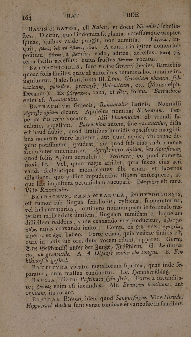 ESL ooo MENT ^BDE OBATIs et BATOS, elt Rubus, vt docet Nicandri feholiae ftes.. Dicitur, quod indomita fitplanta, acceffumque propter fpinas, quibus valde pungit, non admittat. EXegrai, in- quit, Bérot 3g TO &amp;Bxroc epu, | I contrario Igitur nomen im- pofitum , oc , a Qure/e , vado, aditus, acceffus, gar? vi . terra facilis acceffus: huius fructus gároov vocatur. | — C C BATRACHIOIDES, funt variae Geranii fpecies, Batrachio quoad folia fimiles, quae ab autoribus botanicis boc nomine in^ figniuntur. Tales funt, iuxta Ill. Liun. Geranium pbaeum, yl. varicum, paluffre, pratenfe , Bobemicum , etc. (Monadelph. Decandr). Ex gáéreuxoc, rana, et sir, forma. Barzrachion enim eft Ranuuculus. — des PERI a ^ BATRACH!VM Graecis, Ranunculus Latinis, - Nonnulli peram Pes cerui vocatur. Ali Hammuliím, ab vrendi fa- cultate, appellant. Batracbion autem, fiue ramunculus, dicta / bus ranarum more laetetur, aut quod aquis; vbi ranae de- gunt potiffimum, gaudeat, aut quod fub eius vmbra ranae frequenter inueniantur. | Agrefle vero Apium, feu Apiafftrum, quod foliis Apium aemuletur.. Scelerata; eo. quod comefta noxia fit. Vel, quod magis arridet, quia fucco eius acri. . validi fceleratique mendicantes fibi crura. et lacertos |. dilaniant, quo poffint impudentius füipem extorquere, at- que hác impoftura pecuniolam aucupari- Dáreaxoes eft rana. BATRACHVS, RANA et RANVLA , fea HYPOGLOSSIS, eft tumor fub lingua feirrhofus, cyfticus, fuppuratorius, vel inflammatorius, continens nonnunquam infolliculo ma- teriam meliceridis fimilem, linguam tumidam et loquelam . difficilem reddens , vnde coaxando vox producitur, a g«rea- afpera, et £xe, habeo. Forte etiam, quia veficae fimilis eft, quae iri ranis fub ore, dum vocem,edunt, apparet. Germ; cos, ou grenouille. A. A Difeafe under zbe tongue, B. Eem BATTITVRA vocatur metallorum fquama, quae inde fe- paratur, dum malleo tunduntur. Ge. janunerfchlag. ' BAvC1A , dicitur Paffinaca fylueftris, Forte a iucundita: te; gxvxo; enim eft iucundus. Ali Brancam leoninam, aut vr finam, ita vocant. BDELLAE, B3éaaar idem quod Sanguifugae. Vide Hirudo. | Bdellae funt venae tumidae et varicofae in faucibus. Hippocrati A