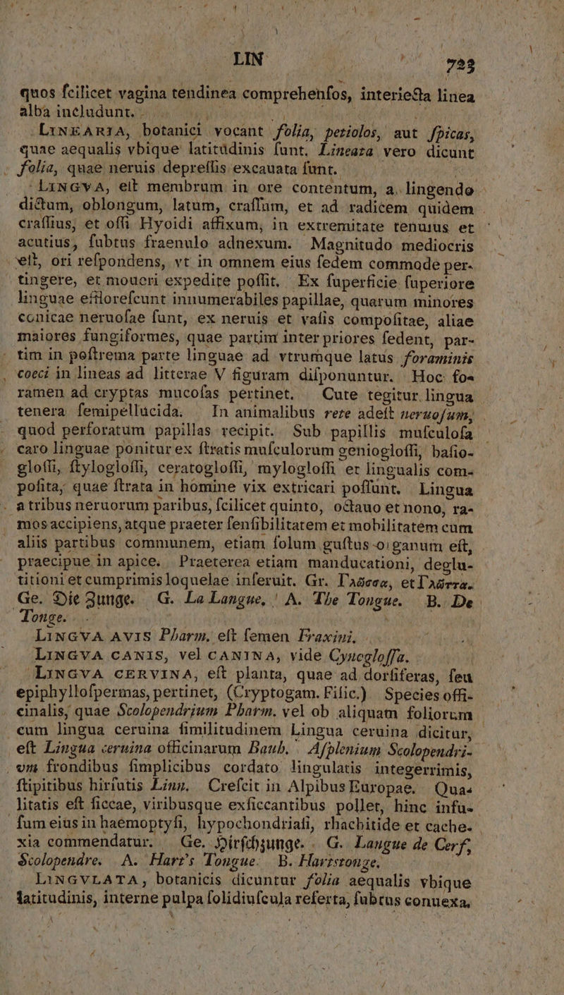 LIN T our vas - alba includunt. . Vh | OE: .LXiNEARIA, botanici vocant folia, periolos, aut fpicas, quae aequalis vbique latitüdinis funt. Lineaza vero dicunt . folia, quae neruis depreffis excauata funt. | | 'LxNGYvA, eit membrum in ore contentum, a. lingendo - di&um, oblongum, latum, craffüm, et ad. radicem, quidem . craffius, et offi. Hyoidi affixum, in extremitate tenurus et acutius, fubtus fraenulo adnexum. »Magnitudo mediocris vli, ori refpondens, vt in omnem eius fedem commade per- tingere, et moueri expedire poffit, Ex fuperficie fuperiore linguae efilorefeunt innumerabiles papillae, quarum minores conicae neruofae funt, ex neruis et vafis compofitae, aliae maiores fungiformes, quae partinr inter priores fedent, par- tim in poftrema parte linguae ad vtrumque latus foraminis ramen ad cryptas mucofas pertinet. ^ Cute tegitur lingua tenera femipellucida. | In animalibus reze adeít mergofum, . quod perforatum papillas recipit. Sub papillis mufculofa caro linguae ponitur ex ftratis mufculorum geniogloffi, bafio- glofii, ftylogloffi, ceratogloffi, mylogloffi ez lingualis com- polita; quae ftrata in homine vix extricari poffunt. Lingua . atribus neruorum paribus, fcilicet quinto, octauo et nono, ra- mosaccipiens, atque praeter fenfibilitatem ez mohilitatem cam . aliis partibus communem, etiam folum guftus oiganum eft, praecipue in apice. Praeterea etiam. manducationi, deglu- titioni et cumprimis loquelae inferuit. Gr. l'Adeee, etTAórra. Ge. Die 3unge — G. Le Langue, ' A. The Tonsue. B. De. Touce. ; | WV | LiNGVA AVIS Pharm. elt femen Iraxini, . LiwmGvA cAwi1S, vel cANINA, vide Cyucgloffa. ^LiwGvA cERVINA, eft planta, quae ad dorfiferas, feu epiphyllofpermas, pertinet, (Cryptogam. Filic.) | Species offi- cinalis, quae Scolopendrium Pbarm. vel ob aliquam foliorum - €um lingua ceruina fimilitudinem Lingua ceruina dicitar, - eft Lingua ceruina ofBcinarum Baub. | Afplenium Scolopendri- . vri frondibus fimplicibus cordato lingulatis. integerrimis, ftipitibus hirfutis Linz. | Crefcit in Alpibus Europae. Quas litatis eft ficcae, viribusque exficcantibus pollet, hinc infu- fumeiusin haemoptyfi, hypochondriati, rhacbitide et cache. xia commendatur. — Ge. Jírfd)unge. « G.. Langue de Cerf, $colopendre. A. Harr's Tongue. B. Haristouge, — | LiNGVLATA, botanicis dicuntur folia aequalis vbique latitudinis, interne pulpa folidiufcula referta, fubtus conuexa, À quos fcilicet vagina tendinea comprehenfos, interieSta linea