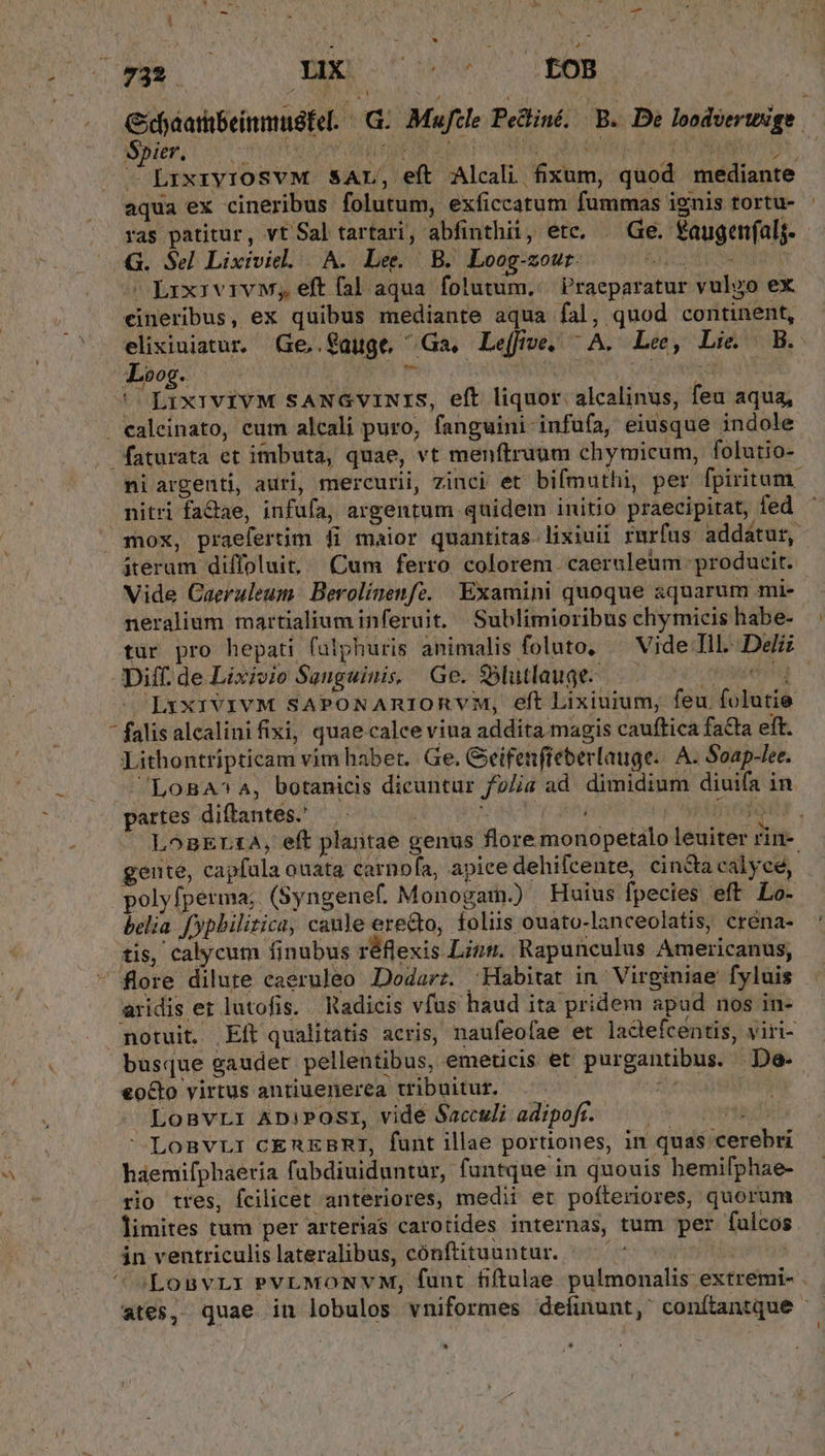 Cioaatibeinmudfel. ^ G: Mafcle Pedtiné. B. De loodverwige iSBier oneri ese I te QD MR DEMO - LrxryrosvM sAL, eft Alcali fixum, quod mediante aqua ex cineribus folutum, exficcatum fummas ignis tortu- ras patitur, vt Sal tartari, abfinthii, ete, . Ge. faugenfalj. G. Sel Lixivie. A. Lee. B. Loog-zour. SVEDE AC UT DAY cLrxivivw, eft fal aqua folutum, Praeparatur vulyo ex cineribus, ex quibus mediante aqua fal, quod continent, elixiniatur. Ge,.gauge Ga, Le(five. ^A. Lee, Lie. B. Loog. deese IRSE. or ou qM Uy) : 'LixrvivM SANGVINIS, eft liquor. alcalinus, feu aqua, . ealeinato, cum alcali puro, fanguini infufa, eiusque indole faturata et imbuta, quae, vt menftraum chymicum, folutio- ni argenti, auri, mercurii, zinci et bifmuthi, per fpiritum. nitri fa&amp;ae, infufa, argentum quidem initio praecipitat, fed '  mox, praefertim fi maior quantitas lixiuii rurfus addatur, iteram diffoluit, (Cum ferro colorem -caernleum producit. Vide Caeruleum. Berolinenfz. Examini quoque aquarum mi- neralium martialium inferuit. Sublimioribus chymicis habe- tur pro hepati fulphuris animalis foluto, — Vide Ill. Delz Diff. de Lixivio Sanguinis, Ge. S5lutlauge- , thrglieitag LixQivivM SAPONARIORVM, eft Lixiuium, feu folutie  falisalcalinifixi, quae calce viua addita magis cauffica facta eft. Lithontripticam vim habet. Ge. Geifenffeberlauge.: A. Soap-lee. LoBA^4A, botanicis dicuntur fz/ia ad. dimidium diuifa in partes diftantes.' AUN 2A 6 Z1 P:  LoBErtA, eft plantae genus flore monopetalo leuiter rin-. gente, capfala ouata carnofa, apice dehifcente, cincta calyce, polyfperma; (Syngenef. Monogam.) Huius fpecies eft Lo- belia fypbilitica, caule erecto, foliis ouato-lanceolatis, créna- tis, calycum finubus réflexis Lizs. Rapunculus Americanus, .U fore dilute caeruleo Dodarz. Habitat in Virginiae fyluis aridis er lutofis. Radicis vfus haud ita pridem apud nos in- notuit. Eft qualitatis acris, naufeofae et ladeefcentis, viri- busque gauder pellentibus, emeticis et purgantibus. De. €octo virtus antiuenerea tribuitur. | 2E Lomgvri ADiPOSI, vide Sacculi adipofr. hd  LoBVLI CEREBRI, funt illae portiones, in quas cerebri haemifphaeria fubdiuiduntur, funtque in quouis hemifphae- rio tres, fcilicet anteriores, medii et poíteriores, quorum limites tum per arterias carotides internas, tum per fulcos in ventriculis lateralibus, cónftituuntur.. Losvrr PVLMONVM, funt fiftulae pulmonalis extremi- . ates, quae in lobulos vniformes definunt, conítantque