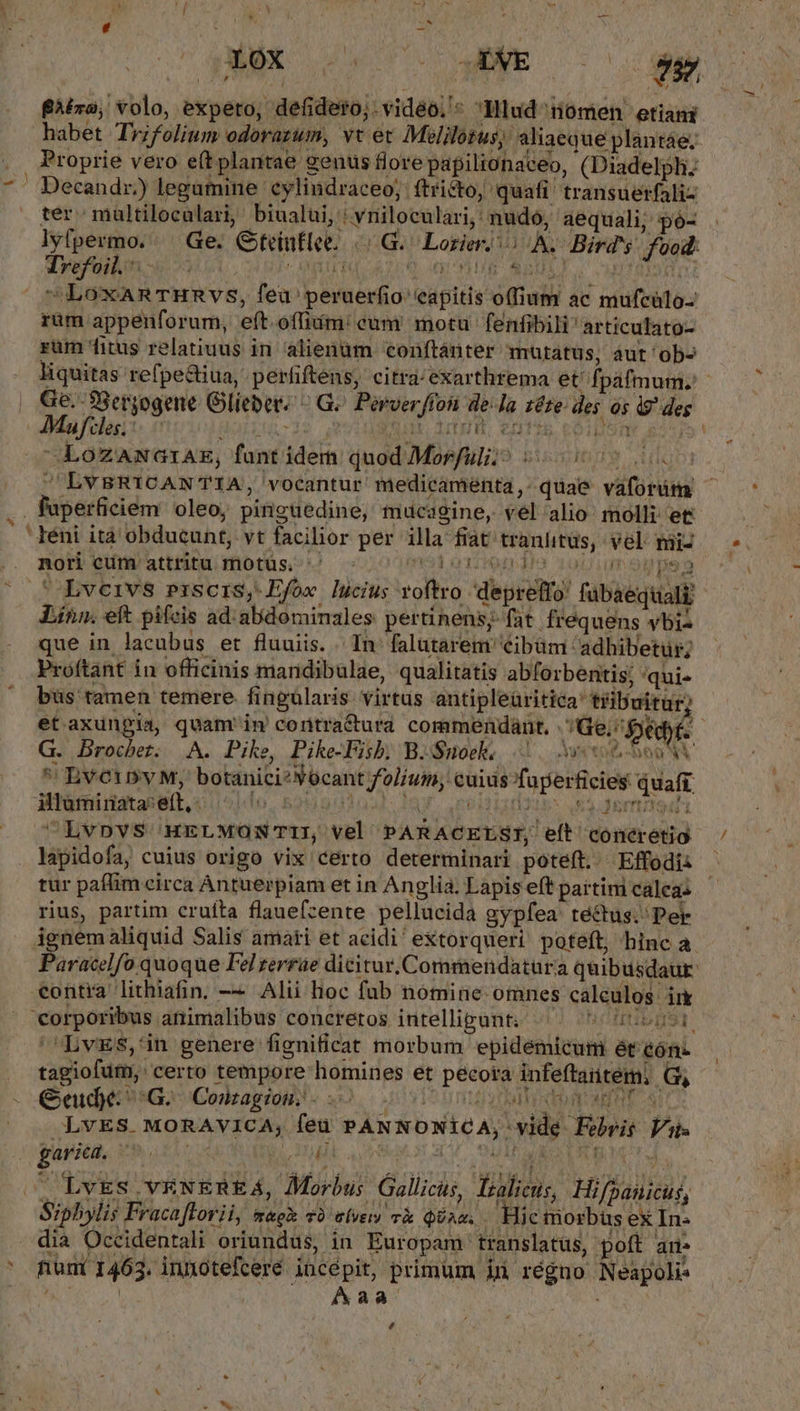 fira, volo, expero, defidero;. vidéo. Hlud nomen etiani habet Trifolium odorazum, vt et Melilotus, aliaeq ue plantáe. r. Proprie vero e(t plantae genus flore papilionaceo, (Diadelph. . Decandr) legumine cylindraceo; ftricto, quafi' transuerfaliz ' ter maultiloculari, biualüi, : vniloculari,: nudo, aequali; pó- lyfpermo. — Ge. Gtetuflee.. | G. Lozier/ o A. Bird's. food: Trefoil. CANTE qors SRULT LC TOO Tr LoxARTHRVS, feu peruerfio capitis offium ac mufcülo- ram appenforum, eft.offim: cum motu fenfibili articulato- rum fitus relatiuus in alienum conftánter mutatus, áut ob» , Ge.-38ergogene Glieber. JMufcles.- : ^ LoZaANwGtiAE, funt idem quod Morfulii^ 5550005 s . fuperficiem oleo; pinguedine, mucagine, vel alio molli et ' Iéni ità obducunt, vt facilior per illa fiat tranlitüs, vel nii- nori cum attritu motüs. '' ml etimimndha apium ope Lveivs erscrs, Efow lucius roftro deprelfo fübaeqtuali Linn. eft pifcis ad: alidominales pertinens fat frequens ybis que in lacubus et fluuiis. . In falutarem cibüm adhibetus; Proftant in officinis maridibulae, qualitatis abforbentis; 'qui- büs tamen temere. fingülaris. virtus antipleüritica tribuitur) yX« J ow G. Brochez. A. Pike, Pike-Pisb. B.Snoek, |. 25 * Evetpy M, botanici?Nocant fal/um; cuius fuperficies quafi. illüminata: ett, - undToat- ny Di3 EIS 55 Jem t Lvpvs HELMONTIS vel PARACELSI, eft concretio lapidofa, cuius origo vix certo determinari poteft. Effodii Ha S DW rius, partim cruíta flauefzente pellucida gypfea tectus. Per ignemaliquid Salis amati et acidi extorqueri' poteft, hinc a. Paracelfo quoque Fel zerrüe dicitur, Commendatura quibusdaur: €ontra lithiafin. — Alii hoc fub nomine omnes calculos ir 'corporibus animalibus concretos intelligant; ^. nego 'LvES,'in genere fignificat morbum epidemicum ét éónz tagiofum, certo tempore homines et pécota infe ftaritem; (GG bil d J Geude G.- Conagion. - P2 UERMEREDT ARE ROS 7: LvES. MORAVICA, feu PANNONICA, vide Febris Vus (paria, Vh otio JI UU PM. P SN 4 P