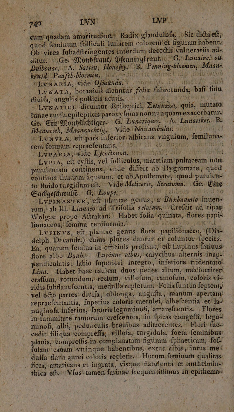 t : ; : Li  R . ^ , i €um quadam amaritudine; Radix elandufofa. ,» Sie: dita eft; quod. feminum folliculi lundrem colorem'ét figuram habent.: /.. Ob. vites fübadftringentes interdum deto&amp;is: vulnerariis ad». . — ditur. Ge. 'SRonbfrant, Dfeuningfraut.i« 7G. Bonaire; ou (0 o Bulbonac: 50A. Satu, Honefty. .:B. Penniug-bloemen, ..:Maan-. MESNARiA,vide Offennudm X .cncnoVs o qecsAr qu ) (S UE? NJ TA. botanicis dicuntur folia fubrotanda, bafi finu ^ .diuifa, angulis pofticis'acutis..* ^02 0: 91 00001 ^c SULVNATXCE, dicuntür «Epileptici; Zesjaxos quiá, mutató .. Tunae curfa;epilepticis paroxy [mus nonnunquam-exacerbatur. Ge. Citi'Sonbfücbtiger: ^ G« Lunaziques. | A. Lunatikes. B. / Maamziek, Maanzuchzig. Vide? No&amp;tambulus. J5 503 4S LVN VLA; eftpars inferior. albicans. viuguium, femiluna- rem formain repraefentaiis. ^ WAY V EU Sas cepi | LYvPARIA, vide Lycoctonon. mviedurspsz: A Ut à Lv?1A, eft cyftis, vel follieulus; materiam pultaceam nór purulentatn continens; vnde differt ab 'Hygromate, quod eontinet fluidum aqueum, et ab Apoftemate; quod. purulén- | fo fluido'turgidumeft. ^ Vide Meliceris, Szeatoma.. : Ge. ine. - ; : GCadgefdwulft. CG Loupe. i pope igit pe^ («0 COLVPINASTER, eft plantae genus, a Büxbaumio inuen- tum;- ab HL -Linnaéo' ad T tifolia relazum. / Gefeit ad ripas Wolgae prope Aftrakan;' Habet folia quinata, flores papis - liouaceós;: femina renifostia; . 00080 eo»pmvdo oun LvPINYs, eft plantae genus flore papiliónaceo, (Dia-. delph. Dzcandr.) cuiüs: plures: dantur. et. coluntur fpecies. Ea, quarum femina in officinis proftantg; eft Lupinus fatruus: - lore albo: Baub. i«Lupimus albus, ' calycibus alternis inapz pendiculatis, labio fuperiori integro, inferiore tridentato' Lius. Habet haec caulem duos. pedes: altum, mediocriter. craffum, rotundum; re&amp;urm, villofüm, ramofum, 'coloris vi« ridis. fabflauefcentis, medullarepleram:: Folia funt in feptem;: - vel o&amp;o partes: diuifa, oblonga, anguíta, manum. apertam repraefentantia, fuperius coloris caerulei, albefcéntia et ]a- nuginofa inferius, faporisleguminofi, amarefcentis. . Flores am s mmitate ramorum crefcentes, iin fpicas congefti, lepu- minofi, albi, pedunculis bréüibus adhaerentes, | Flori fuc-: .. cedit. filiqua 'compreffa; , villofa; turgidula, foeta feminibus: .., planis, comprel(Iis.in complanatam figuram :/fphaericam, fof- | fulam''caüam vtrinque: habentibus, extus. albis ; intus me: - -— dulla laua aurei coloris repletis.. Horum feminum qualitas: osos ficea, amaricans et ingrata, visque flatulenta 'et anthelmin-: | thica eft. Vfus tamen farinae frequentifimus in epithema« - : A LA RAE ^w 1 2