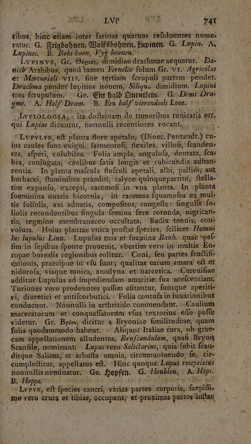 Me. 1b MEC Y Lupines.: B. Boks.boon, Vyy&amp; boonen^ 7 0 Oh LvPeiNvs, Gr. Oéeuoc, dimidiae drachmae aequatur. .Da- nich Arabibus; quod tamen Ternelio folum Gr. v.' Agricolae et Mercuriali viv. fiue tértiam ferapuli partem. pendet. Drachma pendet lupinos: nóuem;' Siliqu&amp; dimidium. Lupini tres fcrupulüm. Ge.' €i balb Duentlein.— G- Deni Dra: gme A. Half Dram. | B. Een balf vierendeels Loot. 5500s ^ A E A  UTI E A L] L n ed jJ Ye 3 7, OLv?10LOGIA,. ita.doctrinam de tumoribus tunicatis ete. qui Lupize dicuntur, nonnulli recentiores vocant, |... Lvpvrvs;eft planta flore apetalo; (Dioec. Pentandr.) cu- ius caules funt exigui, farmentofi, flexiles, villofi,' fcanden: tes, afperi, volubiles. Folia ampla, angulofa,: dentata, fca» bra, coniugata; caulibus fatis longis: et rubicundis; adliae- rentia. In planta mafcula flofculi apetali, albi, pallidi aut hérbacei, ftaminibus pràediti; calyce quinquepartito; ftella- tim expanío, excepti, racemofi in^vna planta. ;In .plantá foeminina ouaria bicornia, in: tacemos fquamofos ex mul tis foliolis, axi adnatis, compofitos; congefta :- fingulis fo: liolis recondentibus fingula. femina fere rotunda, nigricans tiaj tegmine membranaceo 'occultata, Radix tenuis; con: voluta. Huius plantae vnica proftat fpecies, fcilicet Hum lus lupulus Linn. Lupulus mas er foemina Bauh.: quae *pat- fim in fepibus fponte prouenit, vbertim vero in multis Eus ropae borealis regionibus colitur, Coni, feu partes fru&amp;tifi- cationis, praecipue in' vfu funt; qualitas earum amara! eft. et nidorofa, visque tonica, anodyna et narcotica. Cereuifiae | u ratur. G.. Gyeígbobnen, 9Bolf86oDnen, fupinen. G.- Lupin. A. P, ^ 'uriones vere prodeuntes paffim efitantur, funtque aperiti-- vi, diuretici et antifcorbutici. - Folia contufa in luxationibus conducunt. ^ Nonnulli ia arthritide commendant. ::.Caulium maceratorum* et* conquaffatordm: vfus textorius | effe. pofle videtur. Gr. Beóow dicitur a, Bryoniae fimilitudine, quam folia quodammodo habent. : Aliquot Italiae fura, ob grae- . cam appellationem alludentes, Brufcandulam, quafi Bxyon Scanfile, nominant; Lupus vero: Saliclarius,: quia fubit fcan- . ditque Salices, et arbufta omnia, circumuoluendo; fe, cir- ' eumple&amp;itur, appellatus eft. Hinc quoque: Lupus receprizióts. nonnullis nominatur. Ge. jopfen. G. Hosblon, | A. Hops. Bi!Hoppesoe^ od awed ao01 497 t e oer s af sur: Lvpvs, eft fpecies cancri, vàrias partes. corporis; faepifli- me vero crura et tibias, occupans; et'proximas partes inftam —  sS