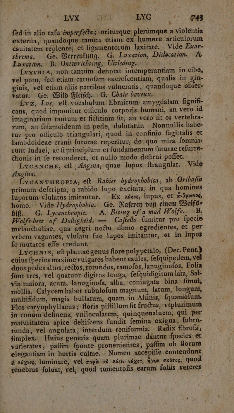 fed in alio cafu zmperfeca; oriturque; plerumque a violentia exterüa, quandoque tamen etiam ex humere articulorum cauitatem replenre; et ligamentorum laxitate. Vide Exar- - zhbrema, — Ge. 9Serrenfung.—| G.. Luxarion, Dislecation. — A. Luxarion. B. Ontwricbzing, Uizlding. ^... THE LvxvR1A, non tantum :denotat intemperantiam in cibo, vel potu, fed etiam: carnofam excrefcentiam, qualis in gin- giuis, vel etiam aliis partibus vulneratis, quandoque obfer- vatur. Ge. $Bilb Gleich... G. Chair baveux.. xag CLvz, Lus, eft. vocabulum: Ebraicum: amygdalam fignifi- cans, quod imponitur officulo corporis humani, an vero id imaginarium tantum et fiitium fit; an vero fit os vertebra- rum, an fefamoideum in pede, dubitatur. |. Nonnullis: habe- tur pro officulo triangulari, quod in confinio fagittalis et lambdoideae cranii futurae reperitur, de: quo mira fomnia: runt ludaei, ac fi principium et fundamentum futurae refurre- Gionis in fe reconderet, ét nullo modo deftrui poffet. | LvcANCHE, eft, 4gina, quae lupos ftrangulat. Vide 4Anpina. Mito X. | n LxcawTHuRnor:iA, eft. Rabies bydrophobica , ab Oribafto primum defcripta, a rabido lupo excitata, im qua homines luporum vlulatus imitantur. ^ Ex Aóxoc, lupus, et &amp;vSgwmoe, homo. ' Vide Hydropbobia... Ge. SRaferen oon einem OOolf8» big. G. Lycauzbropie. ^ A. Biring of a mad Wolfe... B. Wolfs-beet of. Dolligbeid. — Caftello famitur pro fpecie melancholiae, qua aegri no&amp;u domo egredientes, et per vrbem vagantes, vlulatu fuo lupos imitantur, et in lupos (e futaros effe credunt, sod ous ee (oap no LvciNis, eft plantaegenus flore polypetalo, (Dec. Pent.) cüius fpecies maxime vulgares habent eaules, fefquipedem, vel duos pedes altos, re&amp;os, rotundos, ramofos, lanuginofos. Folia fant tres, vel quatuor digitos longa, fefquidigitum lata, Sal . ^ia maiora, dácuta, lanuginofa, alba, coniugata bina. fimul, mollia. Calycem habet tubulofum magnum, latum, longum, multifidum, magis bullatum, quam in Alfinis, fquamofum. Flos caryophyllaeus ; floris piftillum fit frudus, vtplurimum . in cotum definens, vnilocularem, quinqueualuem, qui per maturitatem apice dehifcens fundit femina exigua; fübror tunda, vel angulata; interdum. reniformia. Radix fibrofa; fimplex. Huius generis quam plurimae dantur. fpecies ét varietates, paffim fponte prouenientes, paffim ob forum elegantiam in hortis cultae. Nomen accepiffe contendunt. à Aóxvec, luminare, vel zo và Aóti» véxoc, Wyuv exórot, quod aénebras foluat, vel, quod tomentofis earum folüs veteres ! / | ,