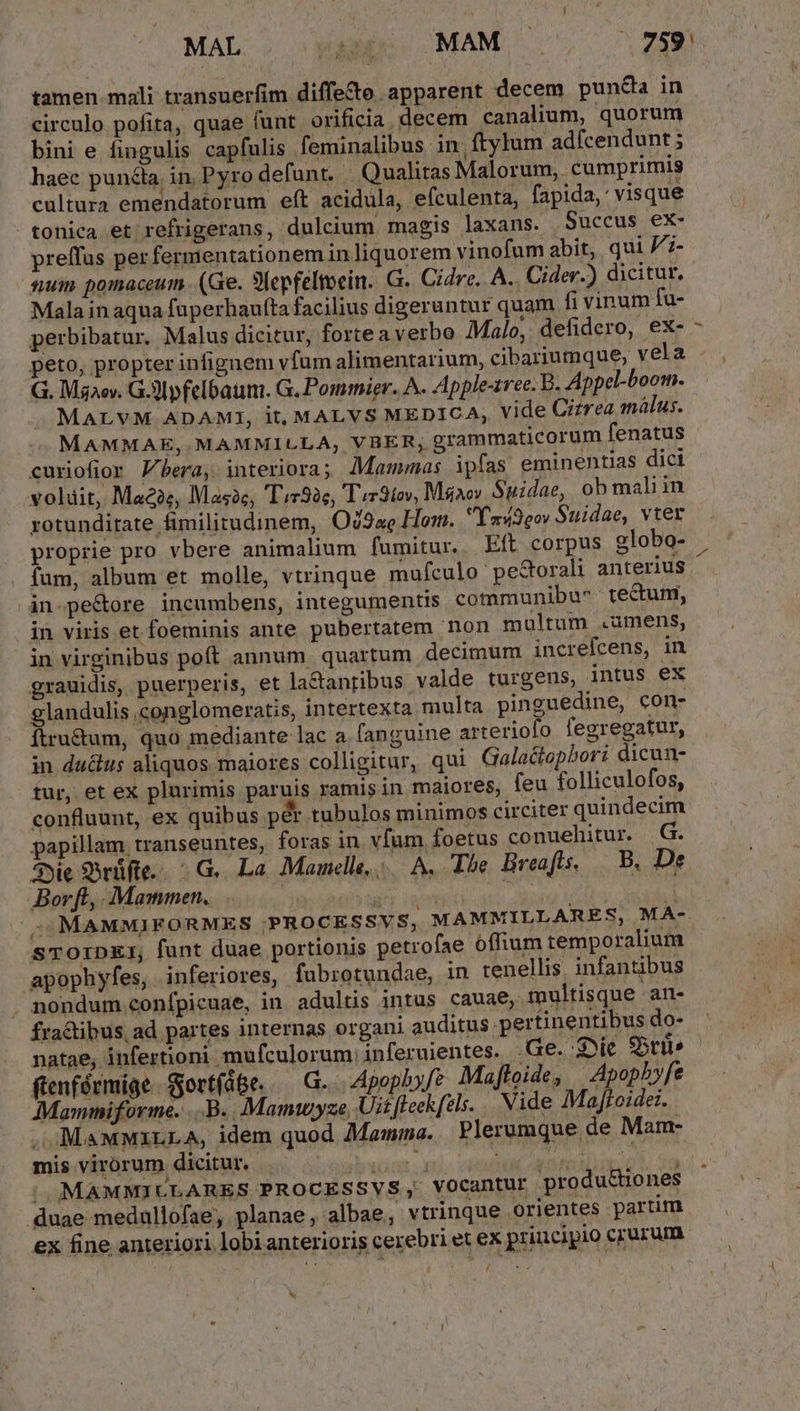 MAL Wap MAM, 7.259 tamen. mali transuerfim diffe&amp;te apparent decem punéda in circulo pofita, quae (unt orificia. decem canalium, quorum bini e fingulis capfulis feminalibus in. ftylum adfcendunt ; haec pundla. in, Pyro defunt. | Qualitas Malorum, cumprimis cultura emendatorum eft acidula, efculenta, fapida, visque tonica et refrigerans, dulcium magis laxans. Succus ex- preffus per fermentationem inliquorem vinofum abit, qui P;- sum pomaceum. (Ge. 3lepfeltoein. G.. Cidre. A. Cider.) dicitur. Mala in aqua fuperhautta facilius digeruntur quam fi vinum fu- perbibatur. Malus dicitur, forte a verbe Malo, defidero, ex- peto, propter infignem vfum alimentarium, cibariumque, vela . G. Mgaov. GI pfelbaum. G. Pommier. A. Apple-trec. B. Appel-boom. MALVM ADAMI, it, MALVS MEDICA, Vide Cizrea málus. MAMMAE,.MAMMILLA,; VBER, grammaticorum fenatus curiofior Vbera, interiora; JMammas ipfas eminentias dici voldit, Mae2e, Masc, T«r926, T «9íov, Msaov Suidae, ob mali in rotunditate fimilitudinem, OZ93ze Hom. Ta3eov Suidae, vter proprie pro vbere animalium fumitur. Eft corpus globo- fum, album et molle, vtrinque mufculo pesorali anterius in-pe&amp;ore incumbens, integumentis communibu^ tectum, | jn viris et foeminis ante pubertatem 'non multum .umens, in virginibus poft annum quartum decimum increfcens, in grauidis, puerperis, et la&amp;antibus valde turgens, intus ex glandulis conglomeratis, intertexta multa pinguedine, con- ftru&amp;um, quo mediante lac a fanguine arteriofo fegregatur, in dudlus aliquos maiores colligitur, qui Galadopbor dicun- tur, et ex plurimis paruis ramis in maiores, feu folliculofos, confluunt, ex quibus pér tubulos minimos circiter quindecim papillam transeuntes, foras in vfum foetus conuehitur. G. 5yie 9rüfte... G.. La. Mamnelle,/.— A. The Breafis, — B. De Borft,..Mammen, US iud w^ d -.. MAMMIFORMES ;PROCESSYS, MAMMILLARES, MA- STOiDEI, funt duae portionis petrofae offium temporalium apophyfes, inferiores, fubrotundae, in tenellis. infantibus . nondum confpicuae, in adultis intus cauae, multisque an- fradtibus ad partes internas organi auditus pertinentibus do- natae, infertioni mufculorum inferuientes. .Ge. :ie Sors ftenfórmige SortfáGe. .— G..| Apoplf? Mafloide, | Apophyfe Mammiforme. ...B.. Mamwuyze, Uitfteek[dli. | Vide Majtcidei. MaMMxLLA, idem quod Mamma. Plerumque de Mam- mis virorum dicitur. Mini Nets d. ga . MAMMILLARES PROCESSVS, vocantur produ&amp;tiones duae medullofae, planae; albae, vtrinque orientes partim ex fine anteriori lobi anterioris cerebri et ex principio crurum L^