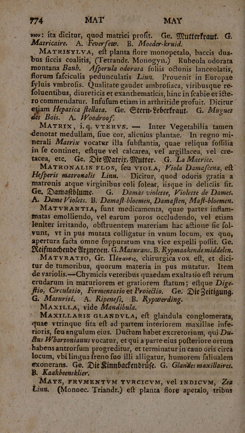 974 MAT | - MAY $À»: ita dicitur, quod matrici profit. Ge, SXutterfraut. .G. Marricaire. A. Feverfew. | B. Moeder-kruid. — , MATRISYLVA, elt planta flore monopetalo, baccis dua- bus ficcis coalitis, (Tetrandr. Monogyn.) Rubeola odorata. montana Bauh. Afperula odovaza foliis o&amp;tonis lanceolatis, florum fafciculis pedunculatis Linz. Prouenit in Europae fyluis vmbrofis. Qualitate gaudet ambrofiaca, viribusque re- foluentibus, diureticis et exanthematicis, hinc in fcabie et i&amp;te- rocommendatur. Infufüm etiam in arthritide profuit. Dicitur ' etiam Heparica ffellaza. Ge. Germ feberfraut. —.G. Muguez 2 Bois. A. Moodroof. | MaTnIx, iq. vrTERVS. — Inter Vegetabilia tamen denotat medullam, fiue cor, alicuius plantae. In regno mi-. nerali- Mazrix vocatwr illa fubftantia, quae reliqua foflilia in fe continet, eftque vel calcarea, vel argillacea, vel cre- tacea, etc, Ge. 3:DieSateir SQutter.. .G.. Lo Marrice. A MaTRONALIS FLos, feu vror.A, Fiola Damaftena, eft^ Hefperis matronalis Linn. . Dicitur, quod odoris gratia a matronis atque virginibus coli foleat, iisque in deliciis fit. Ge, Samaftblume. — G..— Damas violette, Violette de Dames. A. Dame Violets. B. Damaft-bloemen, Dama len, Maf[t-bloemen.. MaTvRAN'TIA, funt medicamenta, quae partes inflam- fnatas emolliendo, vel earum poros occludendo, vel etiam -Jeniter irritando, obftruentem materiam hac a&amp;ione fie fol- .vunt, vt in pus mutata colligatur in vnum locum, ex quo, apertura facta omne füppuratum vna vice expelli poflit. Ge. sXeifmacbenbe 9Irgnepen. G.Mazurans, B. Rypmaakende middelen. MaTvRATzO, Gr. Ilézave«, chirurgica vox eft, et dici- tur de tumoribus, quorum materia in pus mutatur. ltem. de variolis.—Chymicis veteribus quaedam exaltatio eft rerum crudarum in maturiorem et gratiorem ftatüm; eflque Dige- ftio, Circulatio, Fermentatio et Proieclio. Ge. QieSeitigung. G. Maruriié. A. Ripenefs; B. Rypwerding. RNC Maxi1tLLA, vide Mandibula. — | ta ^ MaxrirLARIS GLANDVLA, eft glandula conglomerata, quae vtrinque fita eft ad partem interiorem maxillae infe- rioris, fen angulum eius. Ductum habet excretorium, qui-Da- cus Wbartonianus vocatur, et qui a parteeius pofteriore ortum habensantrorfum progreditur, et terminatur in cauo oris circa locum, vbi linzua freno fuo illi alligatur, humorem faliualem exonerans. Ge. Die &amp;innbacfenbrüfe. G.. Glamles snaxillaives. B. Kaakbeensklier. wee : | . Mavs, FRVMENTYVM TYRCICVM, vel INDICVM, Zea , Lim. | (Monoec. Triandr.) eft planta flore apetalo, tribus