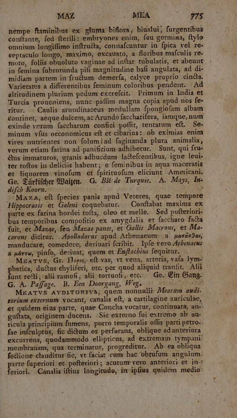 nempe ftaminibus ex plumia biflora, biualui, furgentibus conftante, fed fterili: embryones enim, feu getmina, ftylo omnium longiffimo inftru&amp;a, connafcuntur in fpica. vel re- ceptaculo longo, maximo, excauato, a floribus mafculis re- moto, foliis obuoluto vaginae ad inftar tubulatis, et abeunt | in femina fubrotunda pifi magnitudine bafi angulata, ad di- midiam partem in fru&amp;um demerfa, calyce proprio cincta. Varietates a differentibus feminum coloribus. pendent. | Ad altitudinem plurium pedum excrefcit. Primum in India et 'TTurcia proueniens, nunc ;paffim magna copia apud nos fe- ritur. . Caulis arundinaceus medullam fpongiofam albam éontinet, aeque dulcem, ac Arundo faccharifera, iamque, nuu exinde verum faccharum confici poffit, tentatum eft. Se- minum víus oeconomicus eft et cibarius: ob eximias enim vires nutrientes non folumíad faginanda plura animalia, verum etiam farina ad panificium adhibetur. Sunt, qui fru- &amp;us immaturos, granis adhucdum la&amp;efcentibus, igne leui- . ter toftos in deliciis habent; e feminibus in aqua maceratis et liquorem. vinofum et fpirituofum eliciunt Americani. Ge. Sürfííer 9Baigen. —G.. B/é de Turquie. A. Mays, In- difcb Koorn. : : j . Maza, eít fpecies panis apud Veteres, quae tempore Hippocrazis et Galeni coquebatur. ^ Conftabat maxima ex parte ex farina hordei tofta; oleo et melle. Sed pofteriori- bus temporibus compofitio ex amygdalis et faccharo fada fuit, et Mazae, feu Mazae panes, et Gallis Macrons, et Ma- caroms dicitur. .4polledorus apud Athenaeum: a uacze2au, manducare, comedere, deriuari fcribit. Ipfe vero Arbenaeus à u&amp;rre, pinfo, deriuat; quem et Exffacbius fequitur. |. . JMzarTvs, Gr. 1lTóeo eft vas, vt vena, arteria, vafa lym- phatica, du&amp;us chyliferi, etc. per quod aliquid tranfit, Alii funt rei ; alii ramofi, alii tortuofi, etc. — Ge. €in Gang. .G. A. Paffage. B. Een Doorgang, Weg. an AL do MEATVS AVDITORIVS; quem nonnulli: Mearzi» 2udi- sorium extermum vocant, canalis eft, a cartilagine auriculae, ét quidem eias parte, quae Concha vocatur, continuata, an-- guftata, originem ducens. Sic externo fui extremo ab au- ricula principiüim fumens, porro temporalis offis parti petro-. fae infculptüs, fic dictum os perferans, oblique ad anteriora excurrens, quodammodo ellipticus, ad extremam tympani membranam, qua terminatur, progreditur. Ab ea obliqua fe&amp;ione clauditur fic, vt faciat cum hac 'obtufum angulum. parte fuperiori et. pofteriori; acutumryero anteriori et in-* feriori. . Canalis iftius longitudo, im ipfius quidem medio