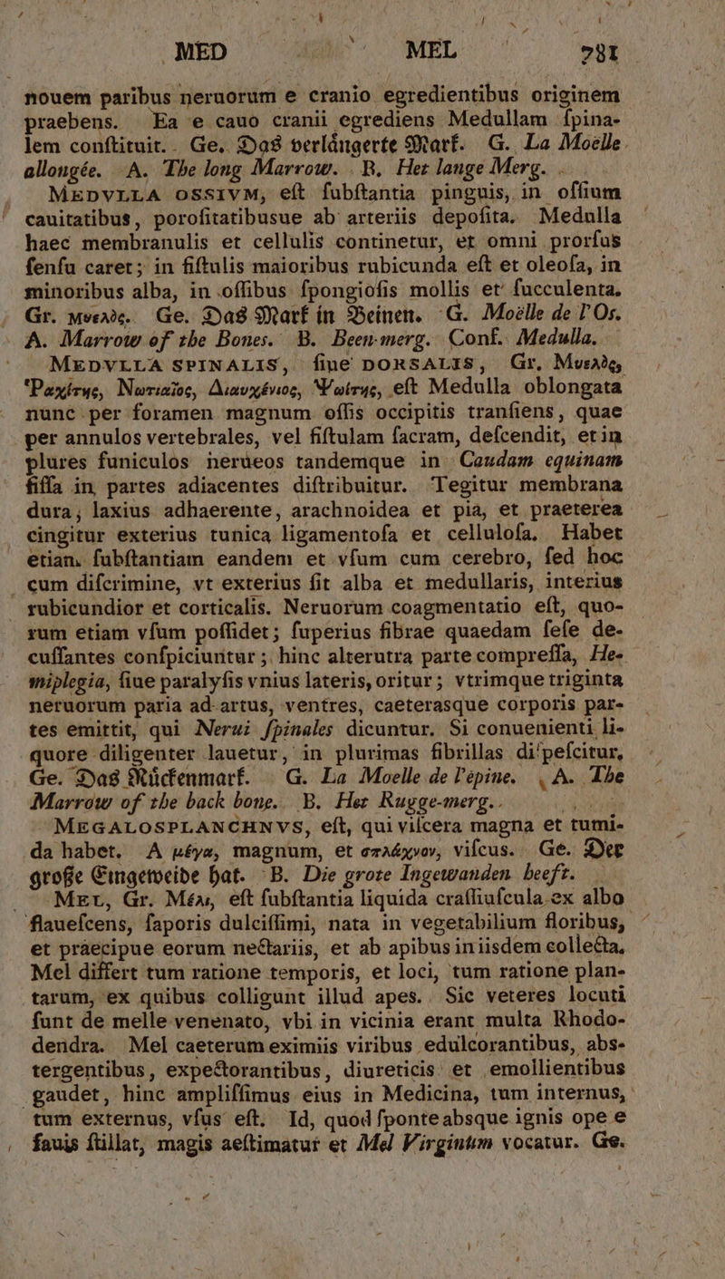MED nouem paribus neruorum e cranio egredientibus originem praebens. Ea e cauo cranii egrediens Medullam fpina- lem conftituit. Ge.. 08 berlángerte SWarf..— G.. La Moelle. allongée. A. Tbe long Marrow. . B, Het lange Merg. . . JMMEpvLLA ossivM, eít fubftantia pinguis, in. offium cauitatibus, porofitatibusue ab' arteriis depofita. Medulla haec membranulis et cellulis continetur, er omni prorfus fenfu caret; in fiftulis maioribus rubicunda eft et oleofa, in minoribus alba, in .offibus fpongiofis mollis et' fucculenta. Gr. wea. Ge. (Da8 9Xatf ín. Seinen. ^ G.. Molle de TO. A. Marrot of tbe Bones. B. Been-merg.. Conf... Medulla. ^ —MEDpvLLA SPINALIS, Íine DORSALIS, (Gr, Muse 'Paxírue, Nor:aioc, Aavx£vioc, N otras, .eft Medulla oblongata nunc per foramen magnum oflis occipitis tranfiens, quae . ger annulos vertebrales, vel fiftulam facram, defcendit, etin plures funiculos nerüeos tandemque in | Ceudam equinam fiffa in partes adiacentes diítribuitur. Tegitur membrana dura; laxius adhaerente, arachnoidea et pia, et praeterea cingitur exterius tunica ligamentofa et cellulofa. Habet etian. fubítantiam eandem et vfum cum cerebro, fed hoc . cum difcrimine, vt exterius fit alba et medullaris, interius rubicundior et corticalis. Neruorum coagmentatio eft, quo- rum etiam vfam poffidet; fuperius fibrae quaedam fefe de- cuffantes confpiciuritur ;. hinc alterutra parte compreffa, He« miplegia, fiue paralyfis vnius lateris, oritur; vtrimque triginta neruorum paria ad-artus, ventres, caeterasque corporis par- tes emittit, qui Nerai fpinales dicuntur. $i conuenienti li- .quore diligenter lauetur, in plurimas fibrillas di'pefcitur, Ge. 3ya8 SKüdenmarf. |— G. La Moelle de l'epine. , A. The Marrow of tbe back bong... B. Her Rugge-merg.. Dee MEGALOSPLANCHNVS, eít, qui vilcera magna et tumi- da habet. A péys, magnum, et eza&amp;yvov, vicus. Ge. der grofe Gingetocibe Dat. ^B. Die grote Ingewanden beef. .— » -Mzr, Gr. Mía, eft fubftantia liquida craffiufcula. ex albo flauefcens, faporis dulciffimi, nata in vegetabilium floribus, ^ et práecipue eorum nectariis, et ab apibusiniisdem collecta, Mel differt tum ratione temporis, et loci, tum ratione plan- tarum, ex quibus colligunt illud apes. . Sic veteres locuti funt de melle venenato, vbi in vicinia erant multa Rhodo- dendra. Mel caeterum eximiis viribus edulcorantibus, abs- tergentibus, expe&amp;orantibus, diureticis: et .emollientibus .gaudet, hinc ampliffimus eius in Medicina, tum internus, tum externus, vfus eft. Id, quod fponteabsque ignis ope e . fauis ftillat, magis aeftimatut et Mel F'irgiutim vocatur. Ge. e €