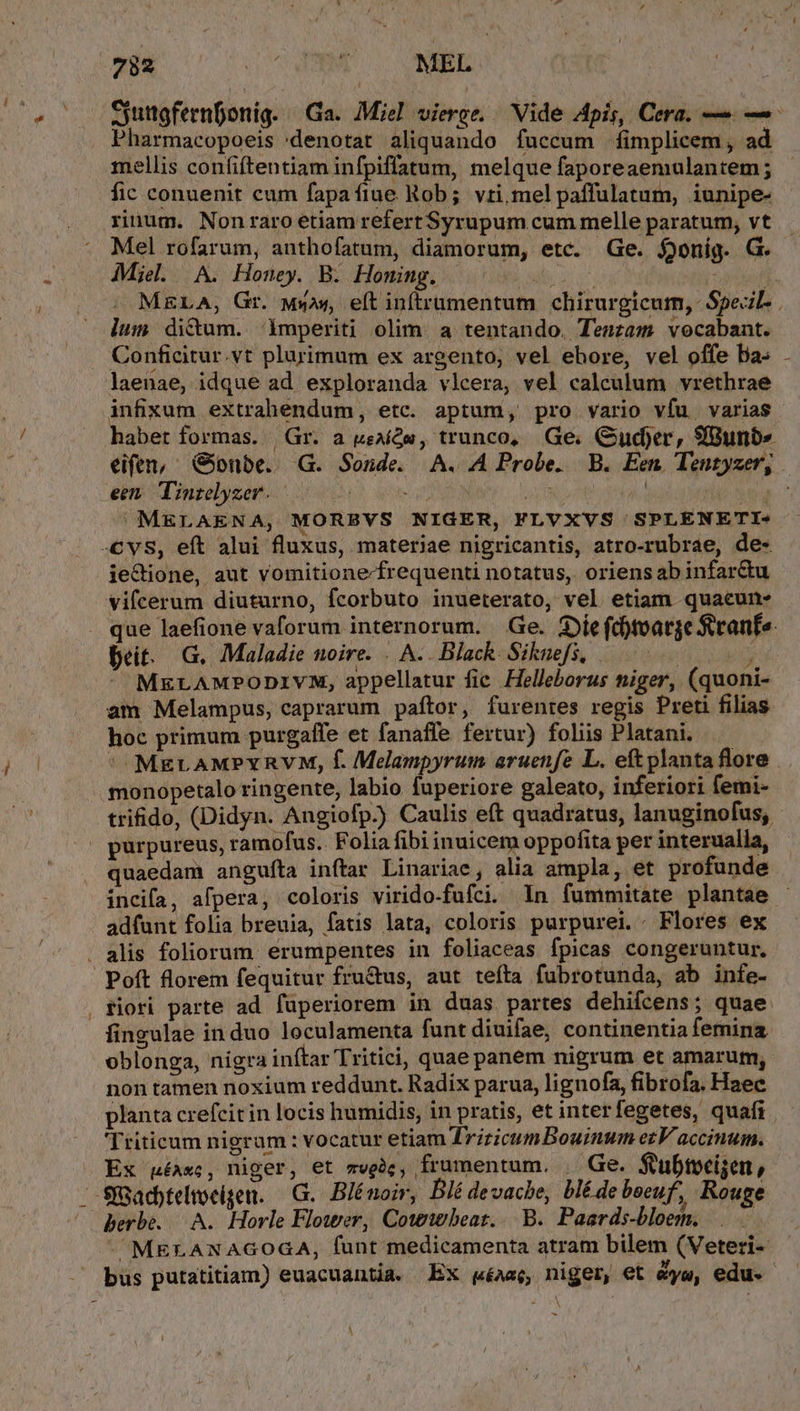 Pharmacopoeis :denotat aliquando fuccum fimplicem , ad mellis confiftentiam infpifíatum, melque faporeaemulantem ; fic conuenit cum fapa (dad Rob; vri.melpaffulatum, iunipe- rinum. Nonraro etiam refert Syrupum cum melle paratum, vt Mel rofarum, anthofatum, diamorum, etc. Ge. $onig. G. Miel. A. Honey. B. Homing. Ls ; lum di&amp;um. imperiti olim: a tentando. Tenzam vocabant. Conficitur.vt plurimum ex argento, vel ehore, vel offe ba- infixum extrahendum, etc. aptum, pro vario vfu varias habet formas. Gr. a ueaíQw, trunco, Ge. Gudjer, 9fB8unbs een Tintelyzer. | 3 XN, | TT. MELAENA, MORBVS NIGER, FLVXVS SPLENETI- ie&amp;dione, aut vomitione/frequenti notatus, oriensabinfar&amp;u vifcerum diuturno, fcorbuto inueterato, vel etiam quacum. Det. G. Maladie noire... A. . Black. Siknefs, i am Melampus, caprarum paítor, furentes regis Preti filias hoc primum purgaífe et fanaffe fertur) folis Platani. — * MEgLAMPYRVM, f. Melampyrum aruenfe L. eftplanta flore monopetalo ringente, labio fuperiore galeato, inferiori femi- quaedam anguíta inftar Linariae, alia ampla, et profunde adfunt folia breuia, fatis lata, coloris purpurei. Flores ex Poft florem fequitur fru&amp;us, aut tefta fubrotunda, ab infe- fingulae in duo loculamenta funt diuifae, continentia femina oblonga, nigra inftar Tritici, quae panem nigrum et amarum, non tamen noxium reddunt. Radix parua, lignofa, fibrofa. Haec Triticum nigram: vocatur etiam drzzicumBouinum ezV accinuim. Ex uéAwc, niger, et mvghc, frumentum. | Ge. $tubtcijen, berbe. A. Horle Flower, Cottbeat.. B. Paerds-bloem. A