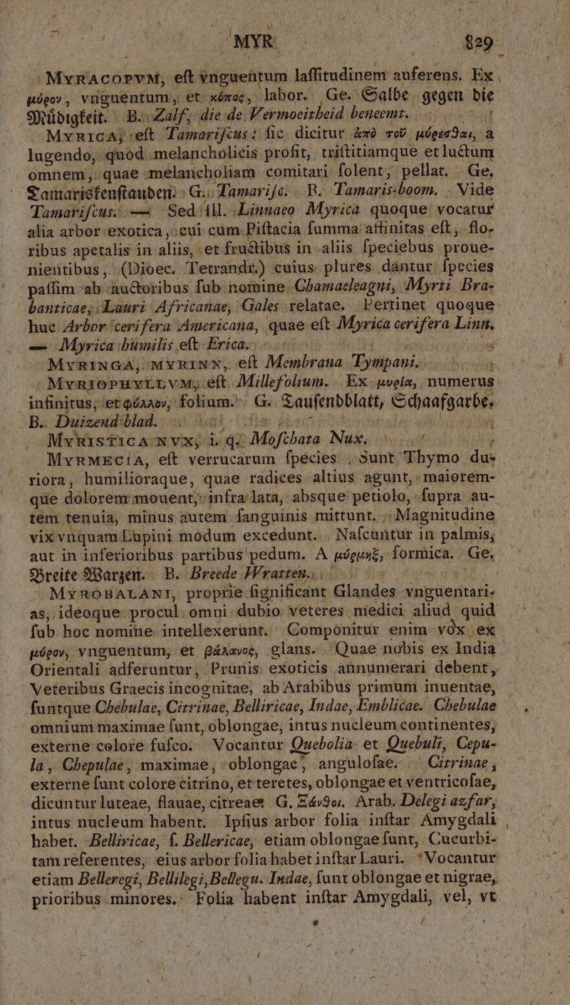 — - MvRnAcopvM, eft vnguentum laffitudinem auferens. Ex uóeo», vngnuentum ;, et xómoc, labor. Ge. Galbe. gegen bíe Sjuübigfeit. B. alf, die de; Vermoeizbeid beneemz. jtd MrvnicA; eft Tamarifcus: fic. dicitur &amp;zó vo. uóesa3os, a lugendo, quod .melancholicis profit, . triftitiamque etluctum omnem. quae -melancholiam comitari folent; pellat. | Ge, S aitaridfenftaubem ^ G.Tamarifc. /. R^. Tamaris.boom. . Vide Tamavifcus;.— Sed 4M. Linnaeo: Myrica. quoque: vocatur alia arbor exotica ,;cui cum.Piftacia fumma attinitas eft ,. flo. ribus apetalis in aliis, et fructibus in aliis fpeciebus proue- nientibus, (Dioec. Tetrandr.) cuius. plures. dantur, fpecies paffim ab auctoribus fub nomine Ghamacleagni, Myrzi Bra- huc zrbor 'cerifera Americana, quae eft Myrica cerifera Linn, — Myrica humilis eft. Erica... diei! STD RR Teo MvngiuGA, MvRiNx, éft Membrana Tympani... 4 Mvn1oPuvtrnvM;eft Millefolium. |. Ex. (veles, numerus infinitus; :etQéaaw, folium.- G. GSaufenbblatt, &amp;djaafgarbe. B« Duisoiliblad. o: eV: (Dm tales pi eg dian Mvwistica wvx, iq. Mofibata Nux, 7 Au MvRMEC:1A, eft verrucarum fpecies. , Sunt Thymo du. riora, humilioraque, quae radices altius agunt, maiorem- que dolorem mouent; infra'lata, absque petiolo, fupra au- tem tenuia, minus autem. fanguinis mittunt. .. Magnitudine vix vnquam Lupini modum excedunt... Nafcuntur in palmis; aut in inferioribus partibus pedum. A gógux£, formica. Ge. S5reite 9Bargen. B... Breede JFrazten...— MASS MvnoBALANT, proprie fignificant Glandes vnguentari- as, ideoque. procul. omni. dubio veteres niedici aliud quid fub hoc nomine intellexerant. ^ Componitur enim vOx ex pógoy, vnguentum, et Q&amp;azve, glans. . Quae nobis ex Iudia Orientali adferuntur, Prunis exoticis annumerari debent, ! E e, - . ^4. | . * Veteribus Graecis incognitae, ab Arabibus primum inuentae, [] omnium maximae funt, oblongae, intus nucleum continentes, externe colore fufco. Vocantur Quebolia. et Quebulz, Cepu- externe funt colore citrino, et teretes, oblongae et ventricofae, dicuntur luteae, flauae, citreaet G. E4v9o. Arab. Delegi azfar, habet. Belliricae, f. Bellericae, etiam oblougae funt, Cucurbi- tam referentes, eius arbor folia habet inftar Lauri. * Vocantur etiam Belleregi, Bellilegi,Bellegu. Indae, lant oblongae et nigrae, prioribus minores. Folia habent inftar Amygdali, vel, v e / , ^