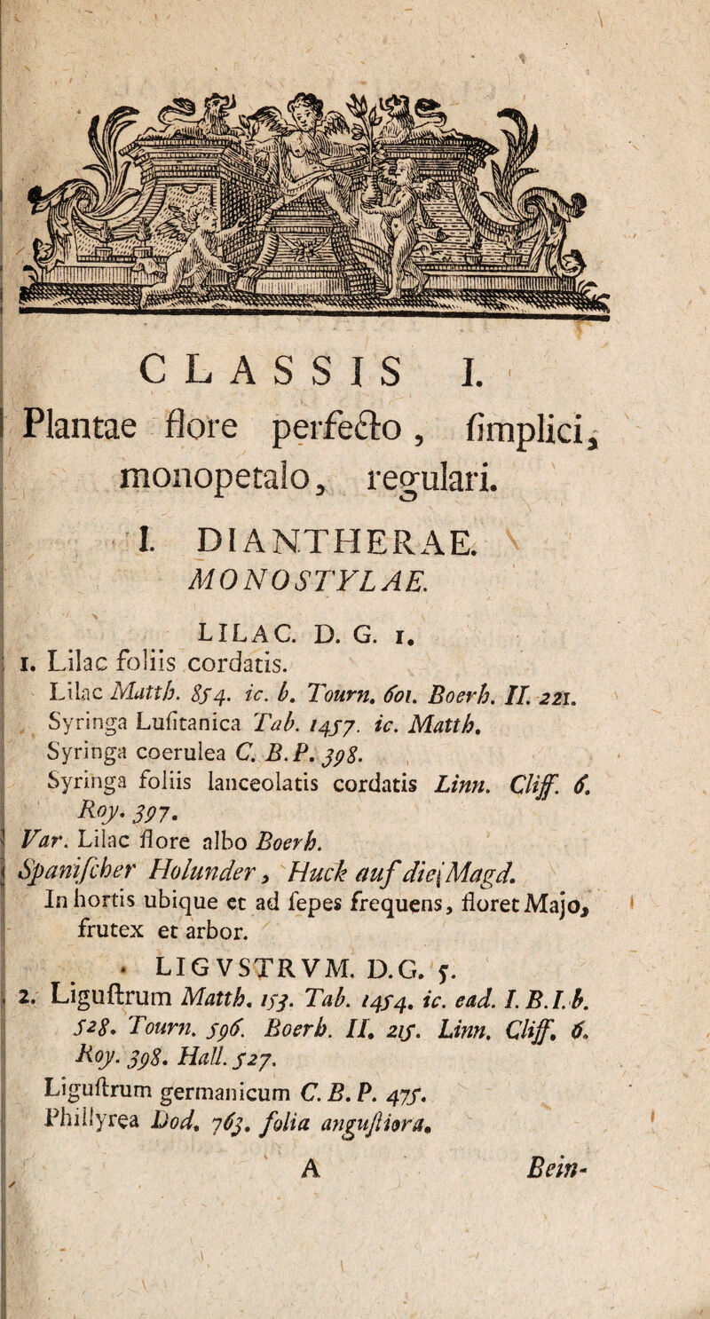 ! Plantae flore perfe&o, fimplici, monopetalo, regulari. I. DIANTHERAE. V MONOSTYLAE. LILAC. D. G. i. j i. Lilac foliis cordatis. Lilac Matth. Sf4. ic. b. Tourn. 601. Boerh. II. 221. \ Syringa Lulitanica Tab. /4/7. ic. Matth. Syringa coerulea C. B.P.jp8. Syringa foliis lanceolatis cordatis Linn. Cliff. 6. Roy. 397- i Var. Lilac flore albo Boerh. j Spanifcher Holunder , Huck auf die\Magd\ In hortis ubique et ad fepes frequens, floret Majo* frutex et arbor. • LIGVSTRVM. D.G. y. , 2. Liguftrum Matth. 133. Tab. 1434. ic. ead. I.B.I.b. S28* Tourn. jpf. Boerh. II 213. Linn. Cliff. 3, R°y- 39%• Hali 327. Liguflrum germanicum C. B. P. 47/. ! Phillyrea iJod, 163. folia angufiiora, ‘ A Bein-