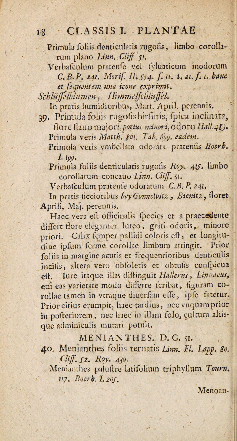 Primula foliis denticulatis rugofis, limbo corolla¬ rum plano Linn. Cliff yi. Verbafculum pratenfe vel fyluaticum inodorum C.B.P. 141. Morif //♦ yy.4. f. u, t, 21. f. 1. hanc et Jequentem una icone exprimit, Schlufjelbhwien > HimmelfchliijfeL In pratis humidioribus, Mart. April. perennis. 39. Primula foliis rugofis hirfutis, fpica inclinata, flore flauo majori,potius minori, odoro Hall.4$j. Primula veris Mattb. 801. Tab. oop. eadem. Primula veris vmbellata odorata pratentis Boerh, L ipp. Primula foliis denticulatis rugofis Roy, 41S, limbo corollarum concauo Linn. Cliff. 5z. Verbafculum pratenfe odoratum C.B. P. 241. In pratis Aecioribus bey GonneXvitz y Bienitz} floret Aprili, Maj. perennis. Haec vera effc oflicinalis fpecies et a praecedente differt flore eleganter luteo, grati odoris, minore priori. Calix femper pallidi coloris efb, et longitu¬ dine ipfum ferme corollae limbum attingit. Prior foliis in margine acutis et frequentioribus denticulis incifis, altera vero obfoletis et obtufis confpicua efb. lure itaque illas diftinguit Hallerus, Linnaeus, ecii eas varietate modo differre fcribat, figuram co¬ rollae tamen in vtraque diaerfam effe, iple fatetur. Prior citius erumpit, haec tardius, nec vnquam prior in pofteriorem, nec haec in illam folo, cultura aliis¬ que adminiculis mutari potuit. MENIANTHES. D. G. 51. 40. Menianthes foliis ternatis Limi. FI, Lapp, 80. Cliff. f 2. Roy. 4jo. Menianthes paluftre latifolium triphyllum Tourn, 117, Boerh. 1,20J. Menoan