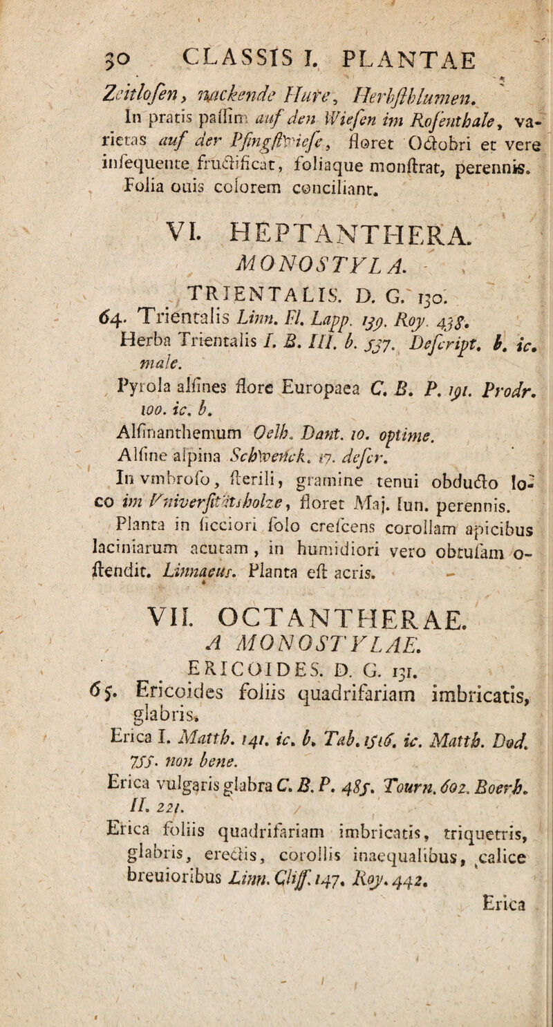 ’ '* Zcitlofen> mckende Hat e, Herbjlhlumen. In pratis paffim nuf den Wiefen im Rojenthale, va¬ rietas auf aer PpngflViefe, floret Octobri et vere infequente frudificat , foliaque monftrat, perennis* Folia oais colorem conciliant, VI. HEPTANTEIERA. monostvla. - . / * ' * TRIENTALIS. D. G. 130. 64. Trientalis IJnn. FI. Lapp. yp. Roy. 43$. Herba Trientalis /. B. III. b. jj7. Defeript. b. ic. male. Pyrola allines flore Europaea C. B. P. ipi. Prodr. wo. ic. b. Alfinanthemum Oelh, Dant. 10. optime. Alfine aljpina Sch^ertck* /7. defer. Invmbrofo, flerili, gramine tenui obdudo lo¬ co im Fniverfifdtsholze, floret Maj. lun. perennis. Planta in ficciori folo crefcens corollam apicibus laciniarum acutam , in humidiori vero obtufam o- dendit. Linnaeus. Planta efl acris. * VII. OCTANTHERAE. A MONGSTY LAE. ERICOIDES. D. G. 131. 65. Ericoides foliis quadrifariam imbricatis, glabris. Enca I. Matth. 141. ic. b. Tab. isiS. ic. Mattb. D«d. 7SS- non bene. Erica vulgaris glabra C. B. P. 48/. Tourn, 6oz. Roerh» II. 22/. Erica foliis quadrifariam imbricatis, triquetris, glabris, eredis, corollis inaequalibus, tcalice breuioribus LinnXlijf.147. Roy. 442. Erica «