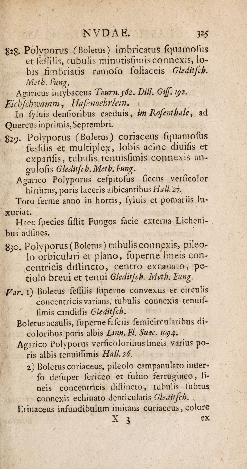NVDAE. 3 25 828* Polyporus (Boletus) imbricatus fquamofus et feffilis, tubulis minutisfimis connexis, lo¬ bis fimbriatis ramofo foliaceis Gleditfch. Meth. Fung, Agaricus intybaceus Tourn.j6z. DHL Gijf. ipz. Eichfclnvamm, Hafenoehrlein. In fyluis denfioribus caeduis, itn Rofenthale, ad Quercus inprimis, Septembri. 829. Polyporus (Boletus) coriaceus fquamofus fesfilis et multiplex, lobis acine diuills et expanfis, tubulis tenuisfimis connexis an- gulofis Gleditfch. Meth. Fung. Agarico Polyporus cefpitofus hccus verficolor hirfutus, poris laceris albicantibus Hall.zj. Toto ferine anno in hortis, fyluis et pomariis lu¬ xuriat. Haec fpecies fiftit Fungos facie externa Licheni¬ bus adtines. 830. Polyporus (Boletus) tubulis connexis, pileo¬ lo orbiculari et plano, fuperne lineis con¬ centricis (Mincto, centro excauaco, pe¬ tiolo breui et tenui Gleditfch. Meth. Fung. Far. 1) Boletus feffilis fuperne convexus et circulis concentricis varians, tubulis connexis tenuif* fimis candidis Gleditfch♦ Boletus acaulis, fuperne faIci is femicircularibus di- coloribus poris albis Linn.Fl. Suec. iop4. Agarico Polyporus verficoloribus lineis varius po¬ ris albis tenuiflimis Hali. 26. 2) Boletus coriaceus, pileolo campanulato inuer- fb defuper fericeo et fuiuo ferrugineo, li¬ neis concentricis diftincto, tubulis fubtus connexis echinato denticulatis Gleditfch. N Erinaceus infundibulum imitans coriaceus, colore X 3 ex