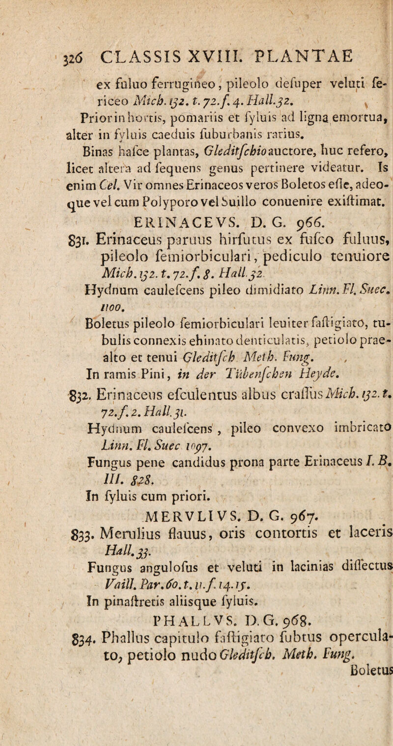 \ v’ , ■ 'j a. . t • x j ex faluo ferrugineo, pileolo defuper velati fe¬ ri ce o Micb. tj2. t. 72./, 4. Hall.32. Prior in hortis, pomariis et ly luis ad ligna emortua, alter in fyltiis caeduis fuburbanis rarius. Binas halce plantas, Gleditfehioauctore, huc refero, licet altera ad fequens genus pertinere videatur. Is enim Cei. Vir omnes Erinaceos veros Boletos ede, adeo- que vel cum Poiyporo vel Suillo conuenire exiftimat. ERINACEVS. D. G. 966. 831. Erinaceus paruus hirfutus ex fufco fuluus, piieolo femiorbiculari, pediculo tenuiore Micb. 132. t. yz.f. 8- Hali.32 Hydnum caulefcens piieo dimidiato Linn.Fl. Suec. 1100. Boletus pileolo femiorbiculari leuiter fafligiato, tu¬ bulis connexis ehinnto denticulatis, petiolo prae¬ alto et tenui Gleditfcb Meth. Funtr. In ramis Pini, in der TUbenfchen Heyde. 832. Erinaceus efculentus albus craflusMi. 132. t. 7 2.f. 2. Hali. 31. Hydnum caulelcens , pileo convexo imbricato Linn. FI, Snec iopj. Fungus pene candidus prona parte Erinaceus I. B. III. 8^S. In fyluis cum priori. MERVLI VS. D. G. 967. 833. Merulius Hauus, oris contortis et laceris Hali. 33. . Fungus angui ofus et veluti in lacinias di {Tectus Vaill. Par. 60. t. v.f 14.13. In pinaflretis aliisque fyluis. PHALLVS. D. G. 96%. 834. Phallus capitulo fafligiato fubtus opercula¬ to, petiolo nudo Gleditfcb. Meth. Fung. Boletus