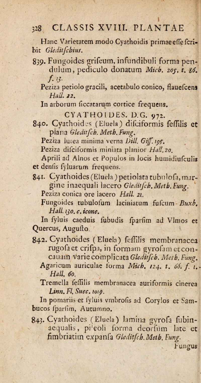 328 CLASSIS XVIII. PLANTAE Hanc Varietatem modo Cyadioidis primaeeffefcri- bit Gleditfebitis. 839. Fungoides grifeum, infundibuli forma pen¬ dulum, pediculo donatum Micb. zoj. t. $6. /• l3- Peziza petiolo gracili, acetabulo conico, fkuefcens Hali. 22. In arborum fccatarum cortice frequens. CYATHOiDES. D.G. 972. 840. Cyathoides (Eluela) difciformis fe/Tilis et plana Gleditfch. Meth.Fung. Peziza iucea minima verna Dill. Gijf. ipf. Peziza difciformis miniata planior Hali. 20. Aprili ad Alnos et Populos in locis humidiufculis et deniis fyluarum frequens. 841. Cyathoides (Eluela ) petiolata tubulofa, mar¬ gine inaequali lacero Gleditfch.Meth.Fung. Peziza conica ore lacero Hali 21. Fungoides tubulofum laciniatum fufcum Buxb. HalL ijo. c. icone. In lyluis caeduis fubudis fpartim ad Vlmos et Quercus, Augufto. 842. Cyathoides (Eluela) feflllis membranacea rugofaet crifpa, in formam gyrofam etcon- cauam varie complicata Gleditfch. Mab. Fung. Agaricum auriculae forma Micb. 124. t. 66. f . ^ Hali. 60. Tremella feflilis membranacea auriformis cinerea Linn. FI. Suec. loip. In pomariis et lyluis vmbrolis ad Corylos et Sam¬ bucos fparfim, Autumno. 843. Cyathoides (Eluela) lamina gvrofa fubin- aequalis, pi eoi i forma deorfum late et fimbriatim expanfa Gleditfch Metb. Fung.