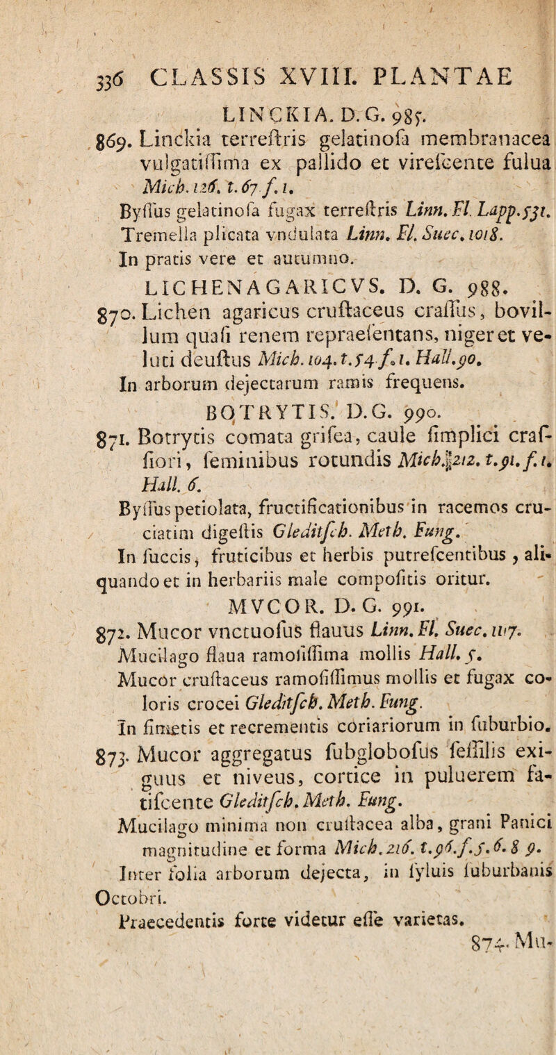 LINCKIA. D.G. 98?. 869. Linckia terreftris gelatinofa membranacea vulgatiflima ex pallido et virefeente fulua Mich. iz6. t. 67 f. z. Byfius gelacinofa fugax terreftris Linn. FI. Lapp.fji. Tremeila plicata vndulata Limi, FI. Succ, 1018. In pratis vere ec autumno. LICHENAGARICVS. D. G. 988. 870. Lichen agaricus cruftaceus craffas, bovil¬ lum quali renem repraefentans, niger et ve¬ loci deuftus Mich. zoq.f.fq/lz. Hall.po. In arborum dejectarum ramis frequens. BOTRYTIS. D.G. 990. 871. Botrycis comata grifea, caule fimplici craL fiori, feminibus rotundis t.pi.f.u Hali. £ ByiTuspetiolata, fructificationibus in racemos cru¬ ciarim digeftis Gleditfch. Mctb. Fung, In fuccis, fruticibus et herbis putrefcentibus, ali¬ quando et in herbariis male compofitis oritur. MVCOR. D. G. 991. 872. Mucor vnccuofus flauus Linn.Fl, Suec.ivy- Mud-lago flaua ramofdlima mollis Hali, f. Mucor cruftaceus ramoftftimus mollis et fugax co¬ loris crocei Gleditfch. Metb. Fung. In finietis et recrementis coriariorum in ftiburbio. 873. Mucor aggregatus fubglobofus feffilis exi¬ guus et niveus, cortice in puluerem fa- tifcente Gleditfch. Meth. Fung. Mucilago minima non cruftacea alba, grani Panici magnitudine et forma Mich.216. t.p6.f.5.6.8 p. Inter folia arborum dejecta, in fyluis luburbanis Octobri. Praecedentis forte videtur efte varietas. 874. Mu-