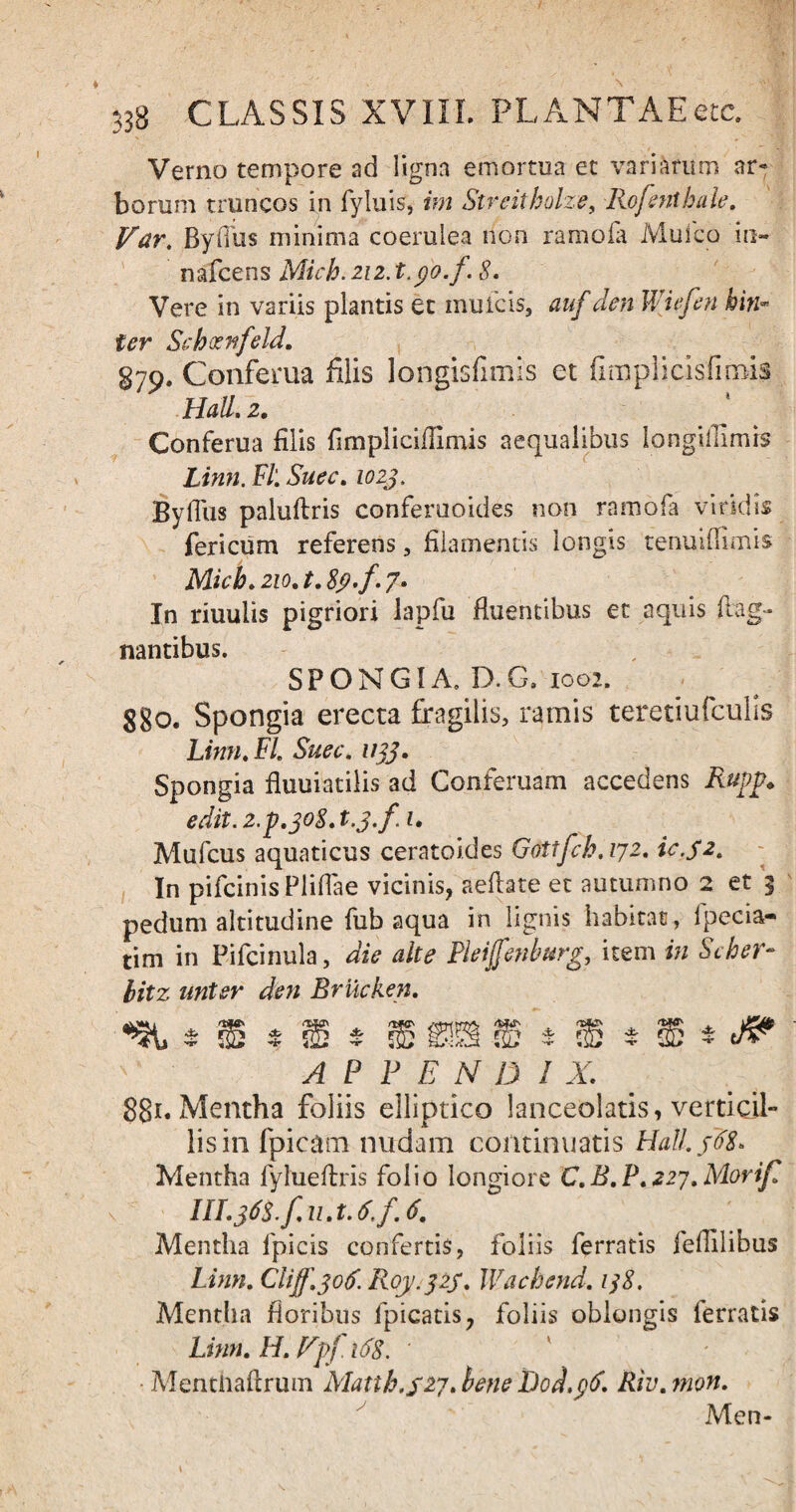 Verno tempore ad ligna emortua et variarum ar¬ borum truncos in fyluis, im Streitholze, Rofentbale. Vdr. Byflus minima coerulea non ramofa Mulco io» nafcens Mich.ziz.t.po.f, 8. Vere in variis plantis et mu icis, auf den Wiefen hin* ter Schoenfeld. 870. Conferua filis longisfimis et fimplicisfimis Hali. 2. ^ Conferua filis fimpiicifiimis aequalibus longifilmrs Linn. FI', Suec. 1023. Byflus paluftris conferuoides non ramofa viridis fericum referens, filamentis longis tenuiflimis Micb,2io. t.8p,f,7. In riuuiis pigriori lapfu fluentibus et aquis ftag» nantibus. SPONGIA. D.G. ioo2. 880. Spongia erecta fragilis, ramis teretiufculis Linn, FI, Suec. 1133. Spongia fluuiatilis ad Conferuam accedens Rupp. edit. 2.p.308. t.p.f. 1. Mufcus aquaticus ceratoides Gottfch. 172. ic.sa. In pifcinis Pliflae vicinis, aeftate et autumno 2 et 3 pedum altitudine fub aqua in lignis habitat, Ipecia- tim in Pifcinula, die alte Pkijfenburg, item in Seber- bitz unter den Brilcken. APPENDI X. 88*« Mentha foliis elliptico lanceolatis, verticil¬ lis in fpicam nudam continuatis Hali. $68* Mentha fylueftris folio longiore C.B.P. 227. Mori/I III.363.f.n.t.6,f. 6. Mentha Epicis confertis, foliis ferratis feflilibus Linn. Cliff.306. R0J/.32S. Wachend. 138. Mentha floribus fpicatis, foliis oblongis ferratis Linn. H. Dpf.168. ' Mentiiailrum Matth.927. bene Hod.96. Riv.mon. Men-