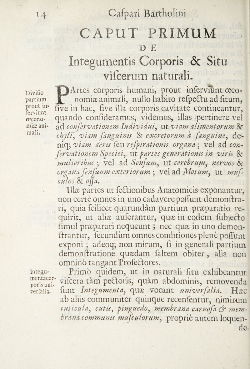 Divino partium prout in» ferviunt oecono¬ miae ani¬ mali. 14 Calpari Bartholini CAPUT PRIMUM D E Integumentis Corporis <3c Situ vifcerum naturali. PArtes corporis humani, prout inferviunt oeco¬ nomiae animali, nullo habito refpeclu ad fitum, live in hac, live illa corporis cavitate contineantur, quando contuleramus, videmus, illas pertinere vel ad confer vationem Individui, ut viam alimentorum 8r chyli, viam [anguinis Sr excretorum d f,'anguine, de- niq; viam aeris feti refpirationis organa ; vel ad con- fervationem Speciei, ut partes generationis in viris 8c mulieribus ; vel ad Senjum, ut cerebrum, nervos Sz organa fenfuum exteriorum ; vel ad Motum, ut muf- culos & offa. 111$ partes ut feftionibus Anatomicis exponantur* non certe omnes in uno cadavere poffunt demonftra- ri, quia fcilicet quarundam partium praeparatio re¬ quirit, ut aliae auferantur, quae in eodem fubjecto fimul praeparari nequeunt; nec quae in uno demon- ftrantur, fecundum omnes conditiones plene poffunt exponi ; adeoq; non mirum, ft in generali partium demonftratione quaedam faltem obiter, alia non omnino tangant Proferiores. tntegu- Primo quidem, ut in naturali fi tu exhibeantur mentacor- vjfcera tam pefloris, quam abdominis, removenda funt Integumenta, quae vocant univerfalia. Haec ab aliis communiter quinque recenfentur, nimir-um cuticula, cutis, pinguedo, membrana carnofa & mem¬ brana communis mu [culorum, proprie autem loquen¬ do pons uni verfalia. /