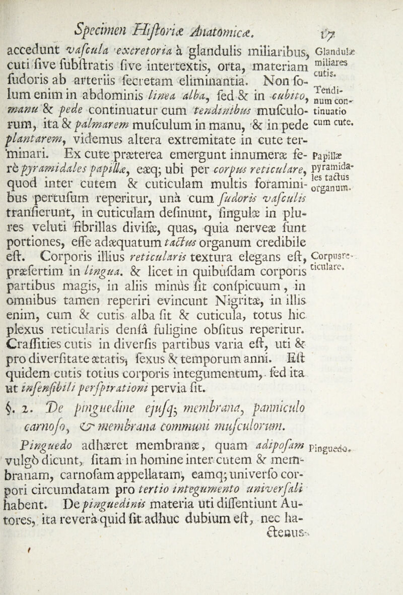 accedunt vafcula excretoria a glandulis miliaribus. Glandulas cuti five fubftratis fi ve intertextis, orta, materiam “^fres fudoris ab arteriis fecretam eliminantia. Non fo- lum enim in abdominis linea alba, fed & in •cubito, ^umcon- manu 8c pede continuatur cum tendinibus mufculo- tinuatio rum, ita & palmarem mufculum in manu, & in pede cum cute* plantarem, videmus altera extremitate in cute ter¬ minari. Ex cute praeterea emergunt innumerae fe- papilla? re pyramidales papillaf eaeq; ubi per corpus reticulare, quod inter cutem & cuticulam multis foramini- o%anum. bus pertufum reperitur, una cum fudoris vafculis tranfierunt, in cuticulam delinunt, fmguise in plu- res veiuti fibrillas divilse, quas, quia nerveae funt portiones, e fle adaequatum tactus organum credibile eft. Corporis illius reticularis textura elegans eft, Corpusre- prsefertim in lingua. Sc licet in quibufdam corporis t!Cu!are’ partibus magis, in aliis minus fit confpicuum, in omnibus tamen reperiri evincunt Nigritse, in illis enim, cum & cutis alba fit 8c cuticula, totus hic plexus reticularis denfa fuligine obfitus reperitur. Craflities cutis in diverfis partibus varia eft, uti &■ pro diverfitate aetatis* fexus & temporum anni. Eft quidem cutis totius corporis integumentum,. led ita ut infenfibil/ perfpirationi pervia fit. §. 2. Ve pinguedine ejuffo membrana, panniculo carnojo, Ct* membrana communi mufculorum. Pinguedo adhaeret membranae, quam adipofam pinguedo, vulgo dicunt,; fitam in homine inter cutem mem¬ branam, carnofam appellatam, eamq; univerfo cor¬ pori circumdatam pro tertio integumento univerfali • habent. De pinguedinis materia uti diflentiunt Au- tores, ita revera quid fit adhuc dubium eft, nec ha¬ ctenus-.
