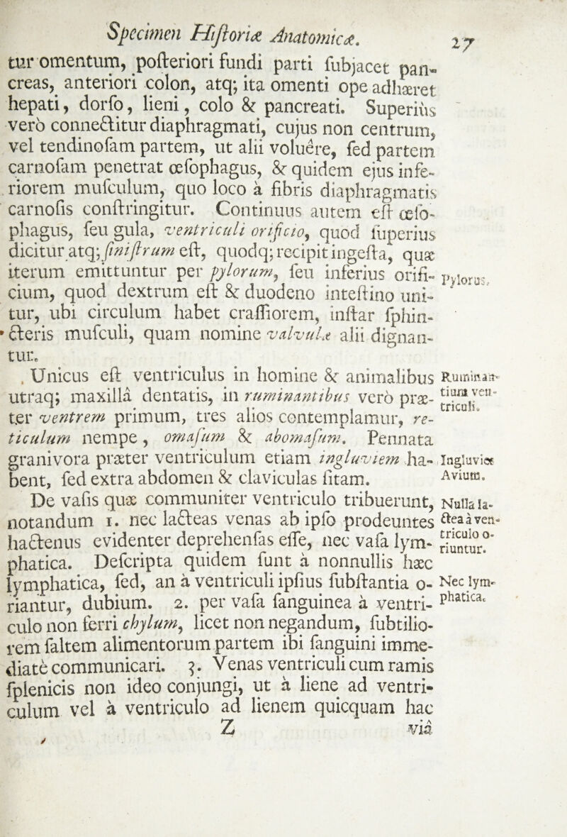 27 tur omentum, pofteriori fundi parti fubjacet pan¬ creas, anteriori colon, atq; ita omenti ope adhaeret hepati, dorfo, lieni, colo & pancreati. Superius ' vero conne&itur diaphragmati, cujus non centrum, vel tendinofam partem, ut alii voluere, fed partem carnofam penetrat cefophagus, &r quidem ejus infe- , riorem mufculum, quo loco a fibris diaphragmatis carnofis conftringitur. Continuus autem eft cefo¬ phagus, feu gula, ventriculi orificio, quod luperius dicitur atq;finiftrum eft, quodq; recipit ingefta, quae iterum emittuntur per pylorum, feu inferius orifi- PvIorir cium, quod dextrum eft & duodeno inteftino uni¬ tur, ubi circulum habet craffiorem, inftar fphin- ■ deris mufculi, quam nomine vdvuU alii dignan¬ tur Unicus eft ventriculus in homine &r animalibus Ruminae utraq; maxilla dentatis, in ruminantibus vero prae- 5ven' ter ventrem primum, tres alios contemplamur, re- 'L u ticulum nempe, omafum & abomafum. Pennata grani vora praeter ventriculum etiam ingluviem ha- ingiuvi« lient, fed extra abdomen & claviculas iitam. Avium, De vatis quae communiter ventriculo tribuerunt, Nulla u- notandum i. nec ladeas venas ab ipfo prodeuntes hadenus evidenter deprehenfas eiTe, nec vafa lym- SumSrf' phatica. Defcripta quidem funt a nonnullis haec lymphatica, fed, an a ventriculi ipfius lubftantia o- Neciym» nantur, dubium, 2. per vafa fanguinea a ventri- phatica‘ culo non ferri chylum, licet non negandum, fubtilio- rem faltem alimentorum partem ibi fanguini imme¬ diate communicari. 3. Venas ventriculi cum ramis fplenicis non ideo conjungi, ut a liene ad ventri¬ culum vel a ventriculo ad lienem quicquam hac via