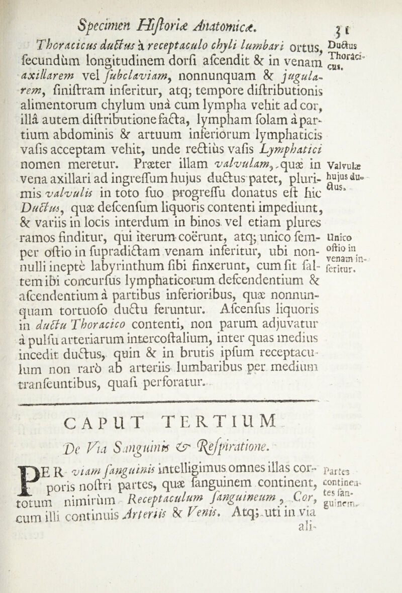 Thoracicus duttus a receptaculo chyli lumbari ortus, fecundum longitudinem dorfi afcendit & in venam axillarem vei fubcl aviam, nonnunquam Sc jugula¬ rem, finiftram inferitur, atq; tempore diftributionis alimentorum chylum una cum lympha vehit ad cor, illa autem diftributione facta, lympham folam a par¬ tium abdominis &■ artuum inferiorum lymphaticis vafis acceptam vehit, unde reUiiis vafis Lymphatici nomen meretur. Praeter illam valvulam,,quae in vena axillari ad ingrefTum hujus duftus patet, pluri¬ mis valvulis in toto fuo progrelfu donatus eft hic Dquae defcenfum liquoris contenti impediunt, &r variis in locis interdum in binos vel etiam plures ramos finditur, qui iterum coerunt, atq; unico fem- per oftio in fupradiftam venam inferitur, ubi non¬ nulli inepte labyrinthum fibi finxerunt, cum fit fal- tem ibi concurfus lymphaticorum defcendentium & afcendentium a partibus inferioribus, quae nonnun¬ quam tortuofo du£lu feruntur. Afcenfus liquoris in duttu Thoracico contenti, non parum adjuvatur Du&us Thorac cus. Valvulas hujus duc Unico oftio in venam in- feritur. a pulfu arteriarum intercoftalium, inter quas medius incedit duftus, quin & in brutis ipfum receptacu¬ lum non raro ab arteriis lumbaribus per medium tranfeuntibus, quali perforatur.. CAPUT TERTIUM De Via Sanguini* Qdefpimtione. PE R viam [anguinis intelligimus omnes illas cor» part£3 poris noftri partes, quae fanguinem continent, contineo totum nimirum Recftaulum fmgummm,.Cor, cum illi continuis Arteriis & renis, Atq;.uti m via ali-