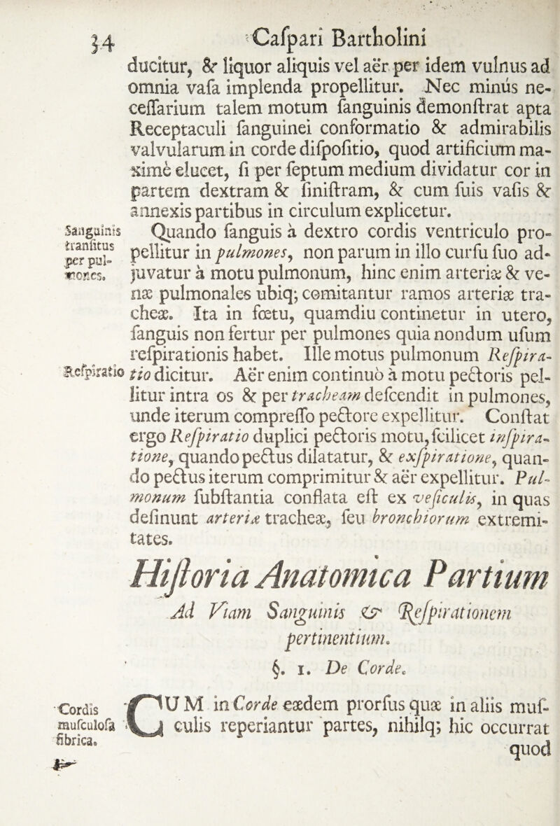 14 Sanguinis iraniitus per pul¬ mones. ' Cafpari Bartholini ducitur, & liquor aliquis vel aer per idem vulnus ad omnia vafa implenda propellitur. Nec minus ne- cefTarium talem motum {anguinis demonftrat apta Receptaculi fanguinei conformatio & admirabilis valvularum in corde difpofitio, quod artificium ma¬ xime elucet, fi per feptum medium dividatur cor in partem dextram 8c finiftram, & cum fuis vafis &• annexis partibus in circulum explicetur. Quando fanguis a dextro cordis ventriculo pro¬ pellitur in pulmones, non parum in illo curfu fuo ad¬ juvatur a motu pulmonum, hinc enim arteria; & ve¬ nae pulmonales ubiq-, comitantur ramos arteriae tra¬ cheae. Ita in fetu, quamdiu continetur in utero, fanguis non fertur per pulmones quia nondum ufum refpirationis habet. Ille motus pulmonum Rejpira- aefpSratio tio dicitur. Aer enim continuo a motu pedoris pel¬ litur intra os 8c per tracheam defeendit in pulmones, unde iterum comprelfo pedore expellitur. Confiat ergo Refpiratio duplici pedoris motu,fcilicet infpira- tione, quando pedus dilatatur, & exfpimtione, quan¬ do pedus iterum comprimitur Sc aer expellitur. Pul¬ monum fubftantia conflata eft ex vejiculis, in quas delinunt arteria tracheae, leu bronchiorum extremi¬ tates. Hiftoria Anatomica Partium Ad Viam Sanguinis .<sr ^efpirationem pertinentium. §. i. De Corde, Cordis raufculofa '< fibrica. CUM in Corde eaedem prorfus quae in aliis muf- culis repedantur partes, nihilq; hic occurrat quod